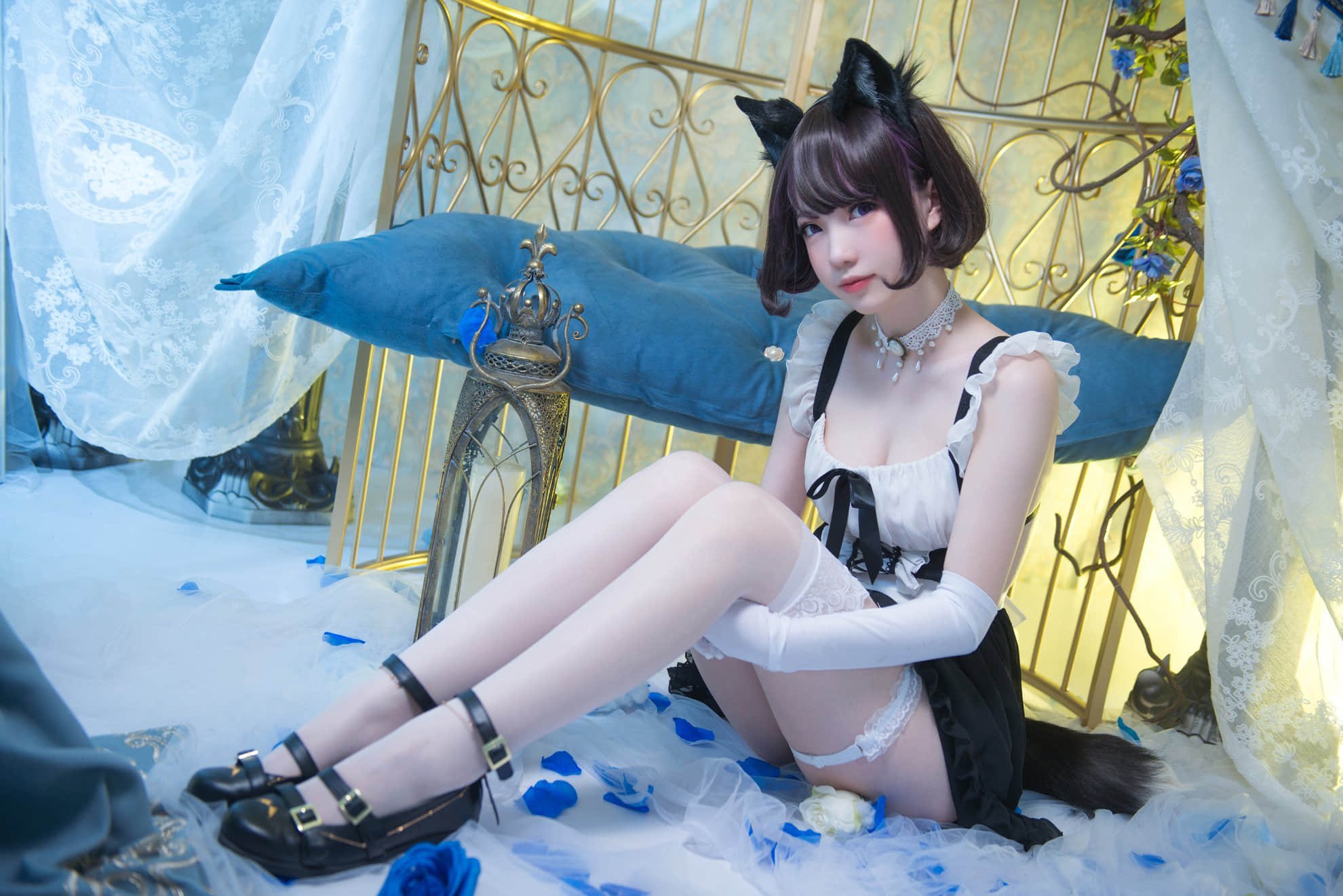 COS_6720