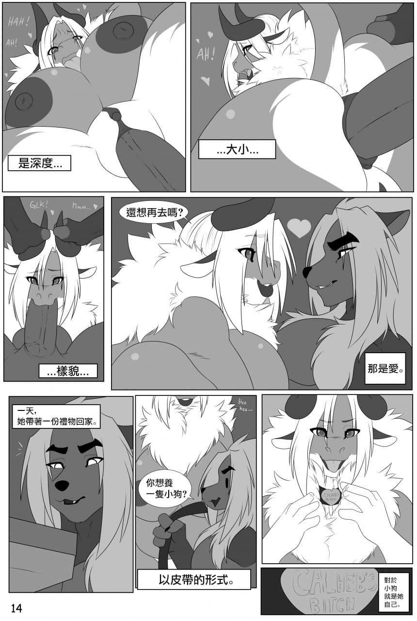 14