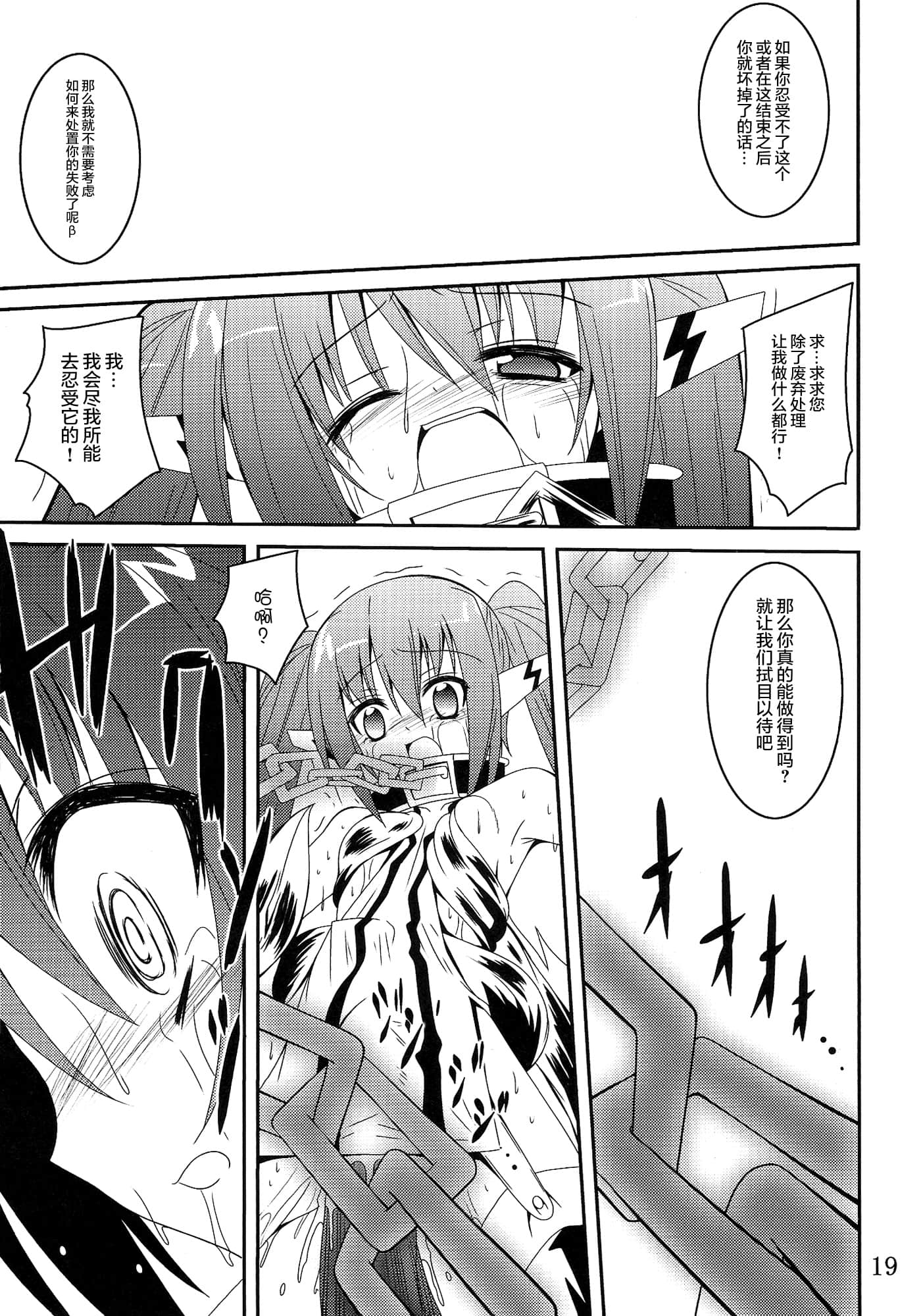 019