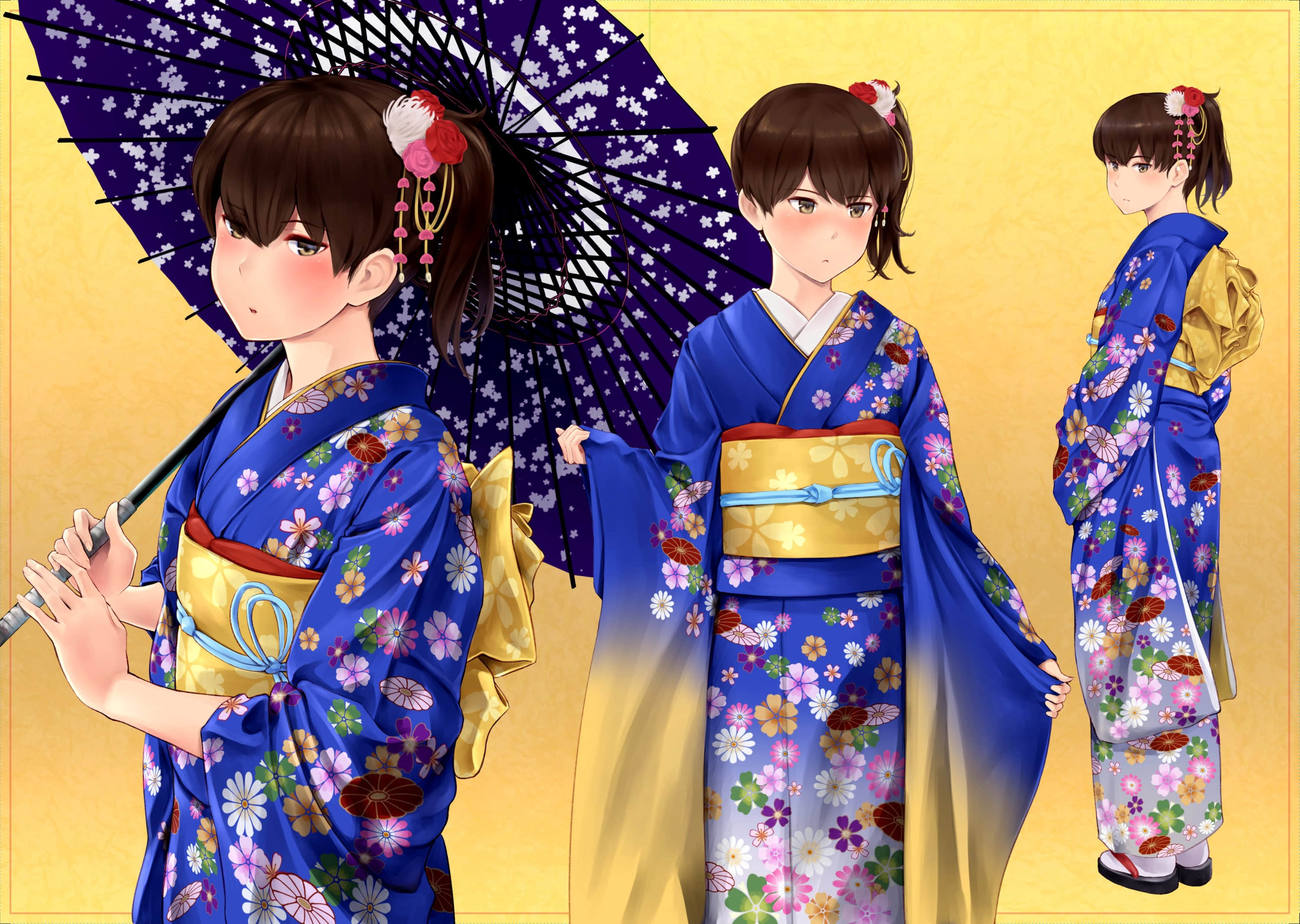 241_Kaga