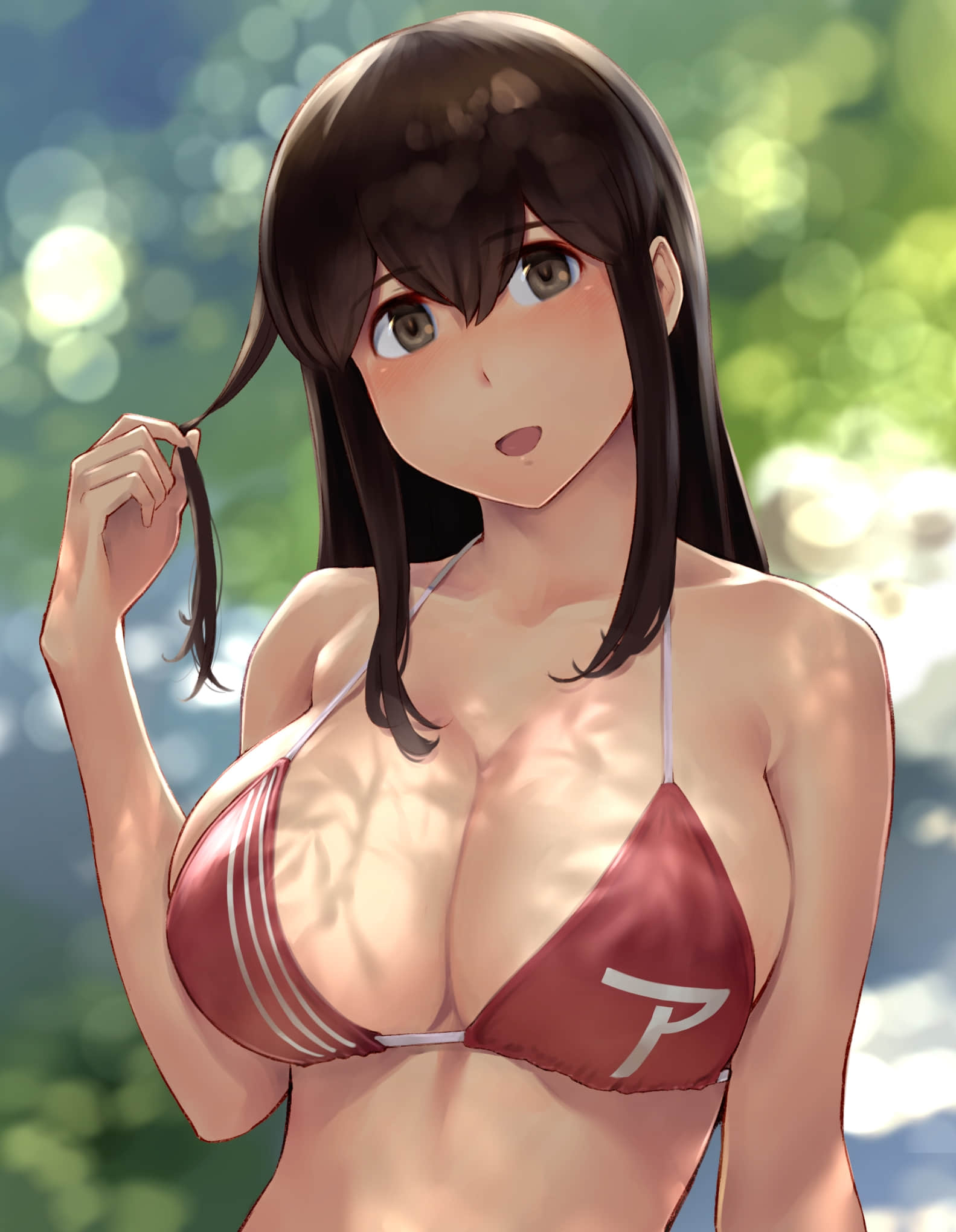 305_Akagi