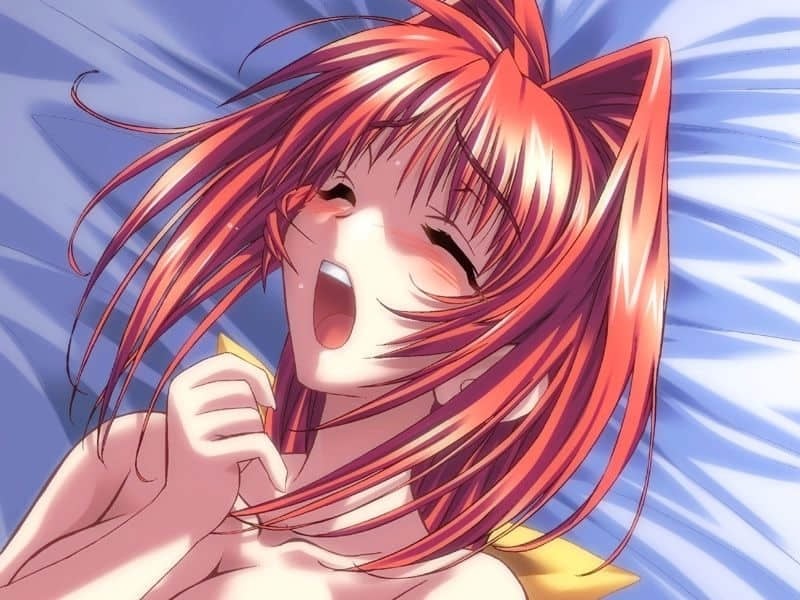 256