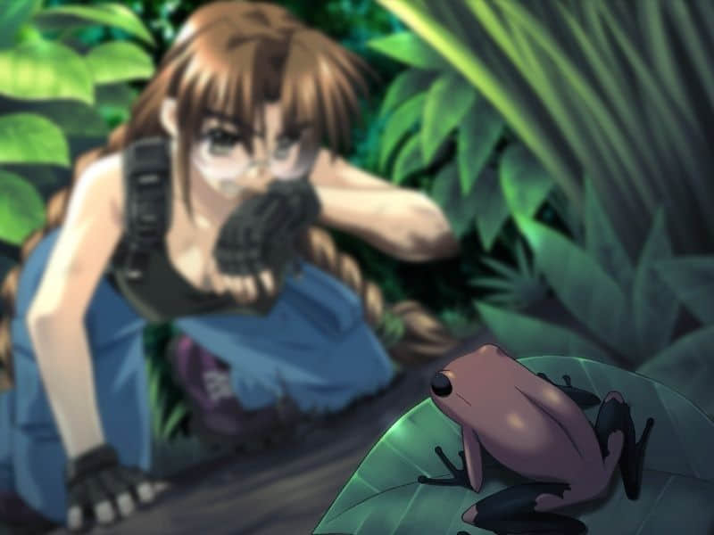 291