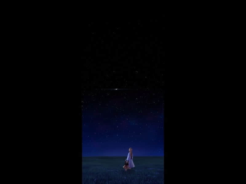 619