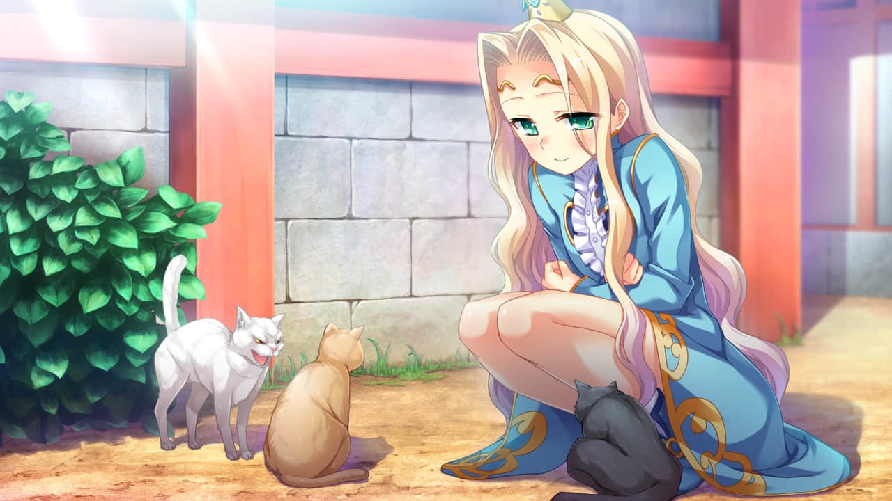 e_b_Rin01a