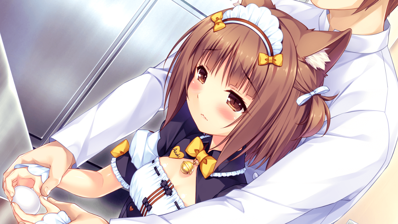 貓娘樂園 (206)