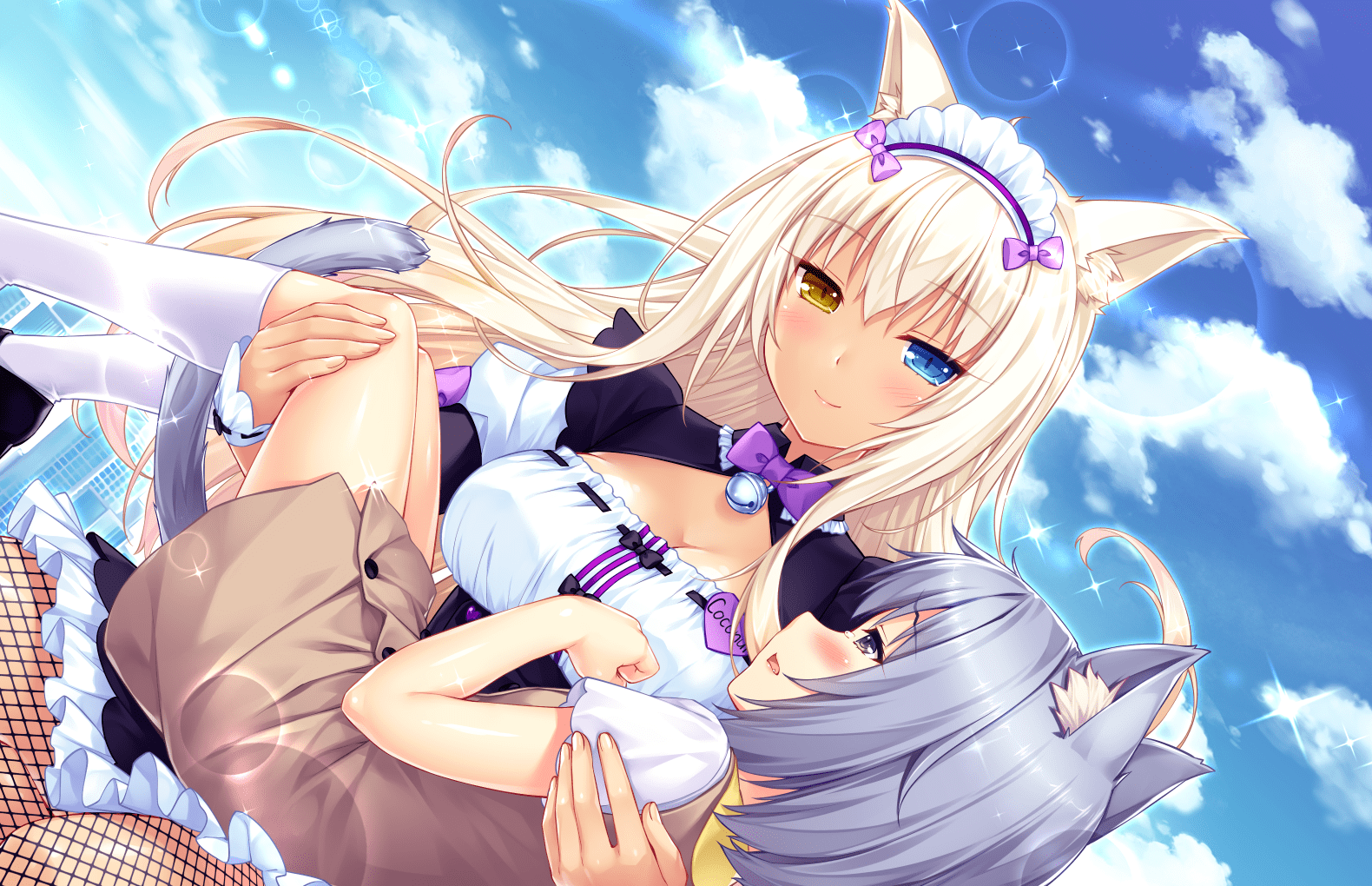 貓娘樂園 (291)