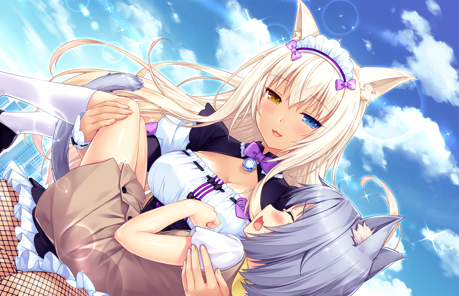 貓娘樂園 (293)
