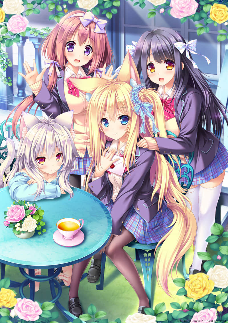 _cover2