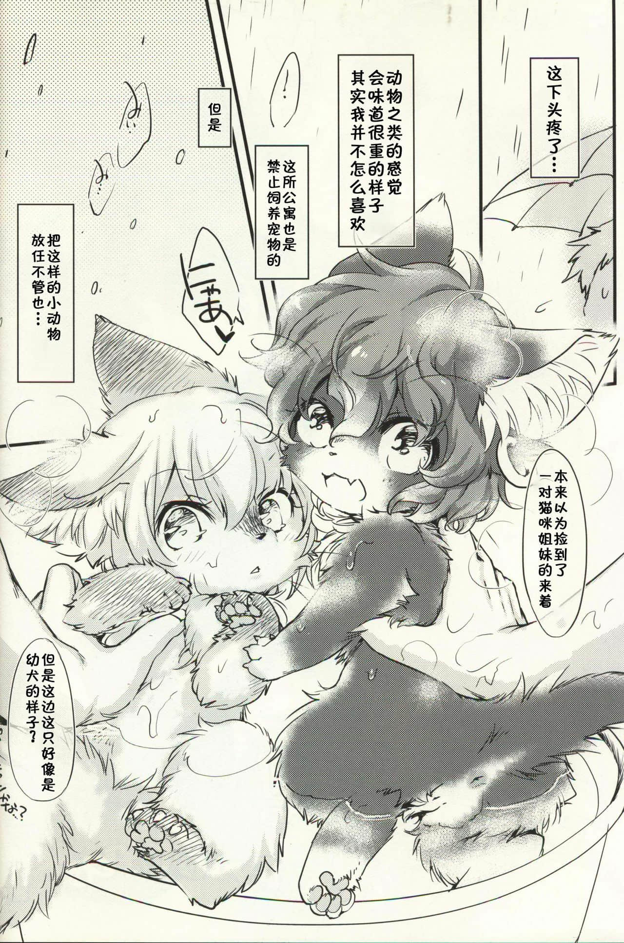 03