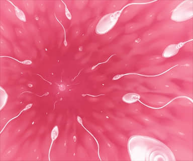 fec_a001
