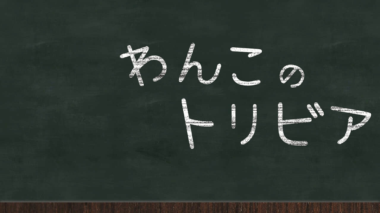 z_cutin_trivia01