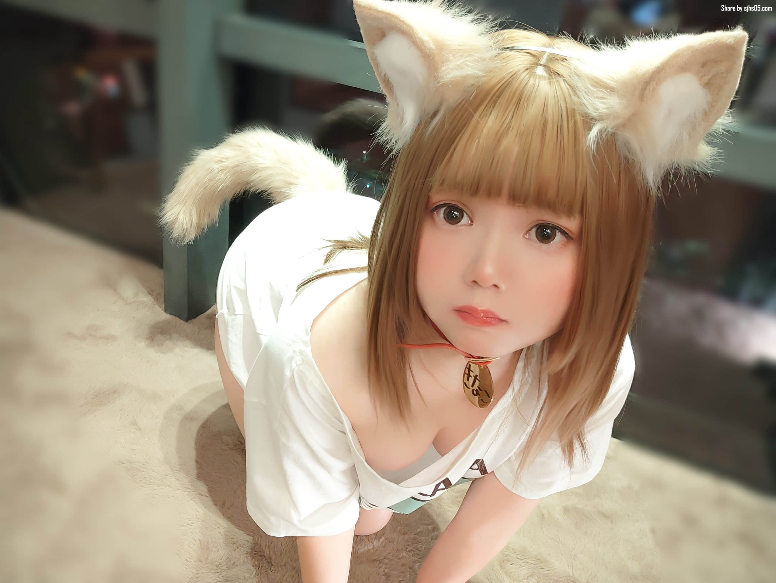 03