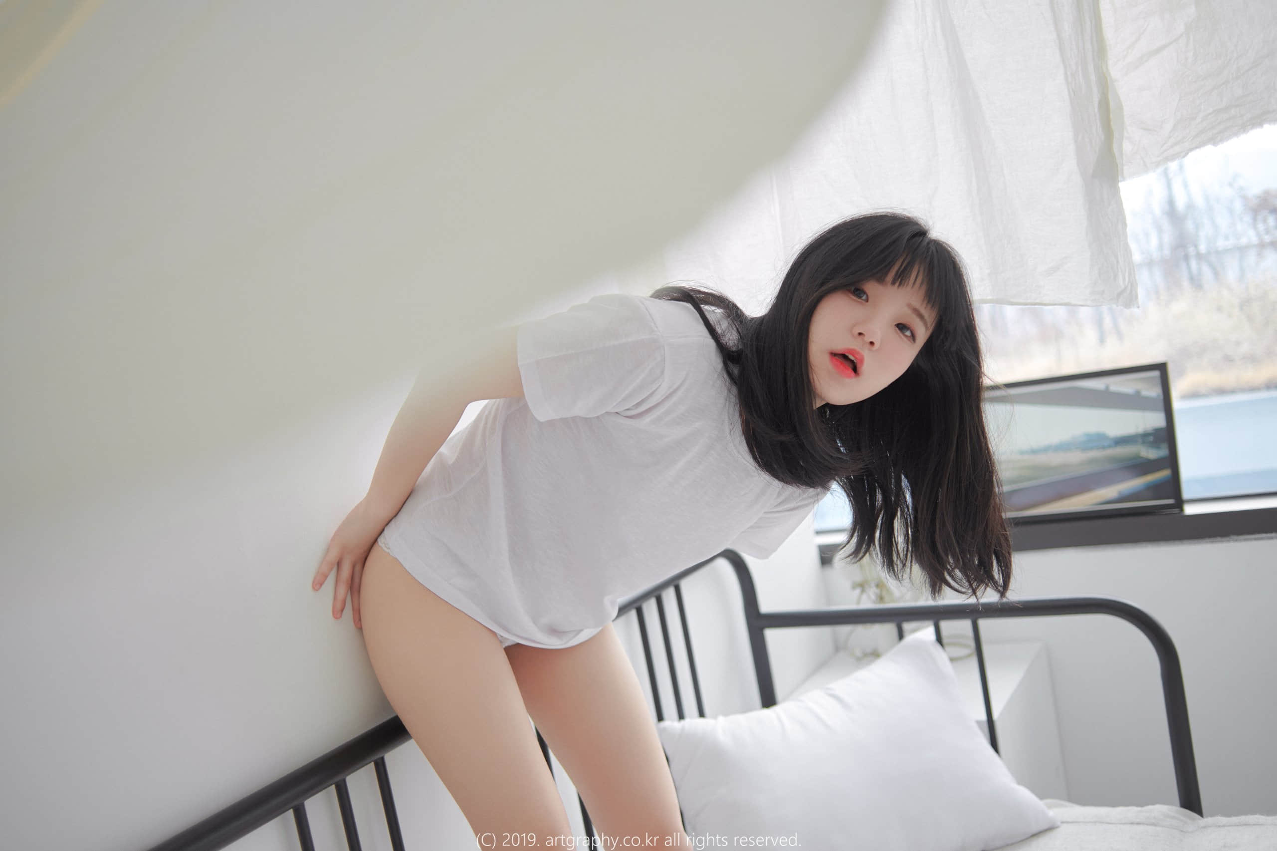 _ART0274
