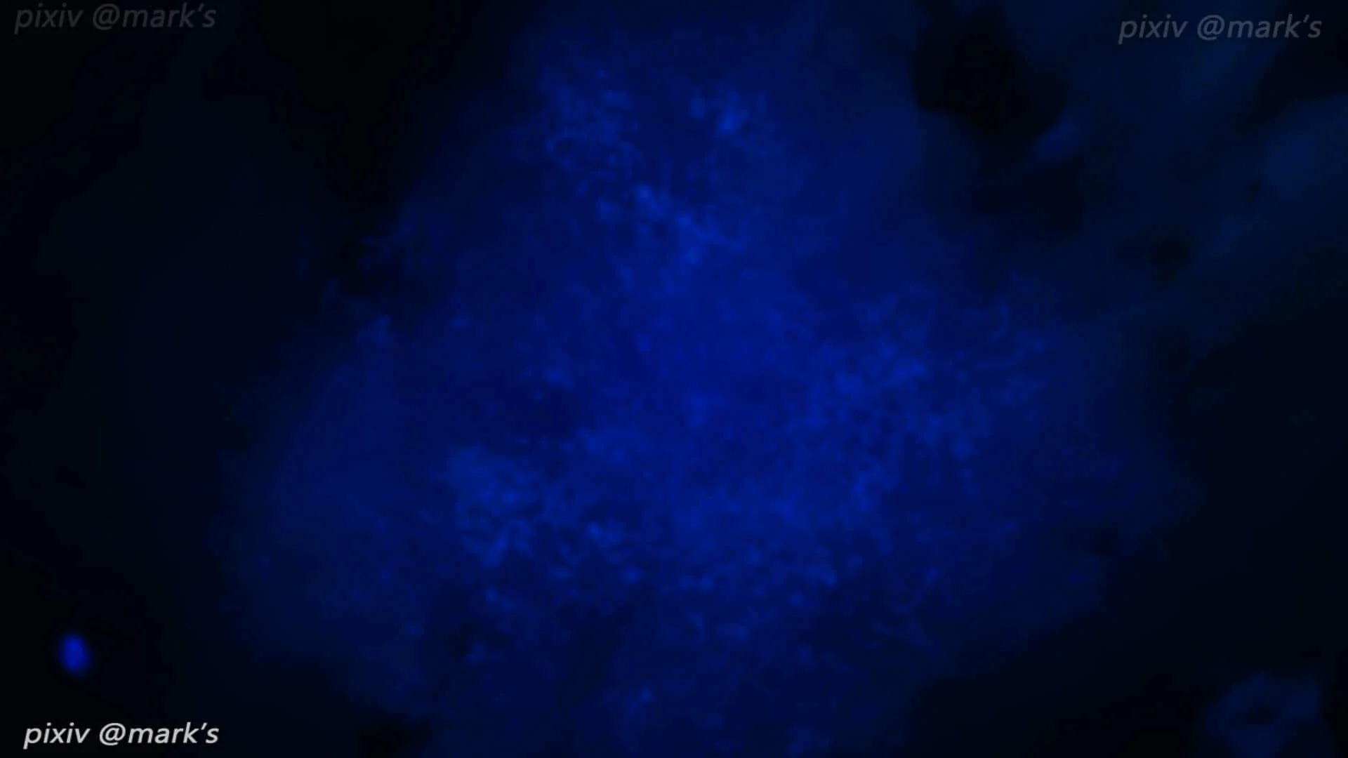 0043