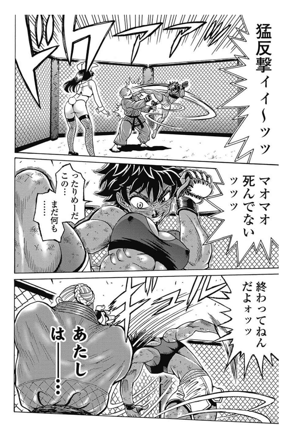12081