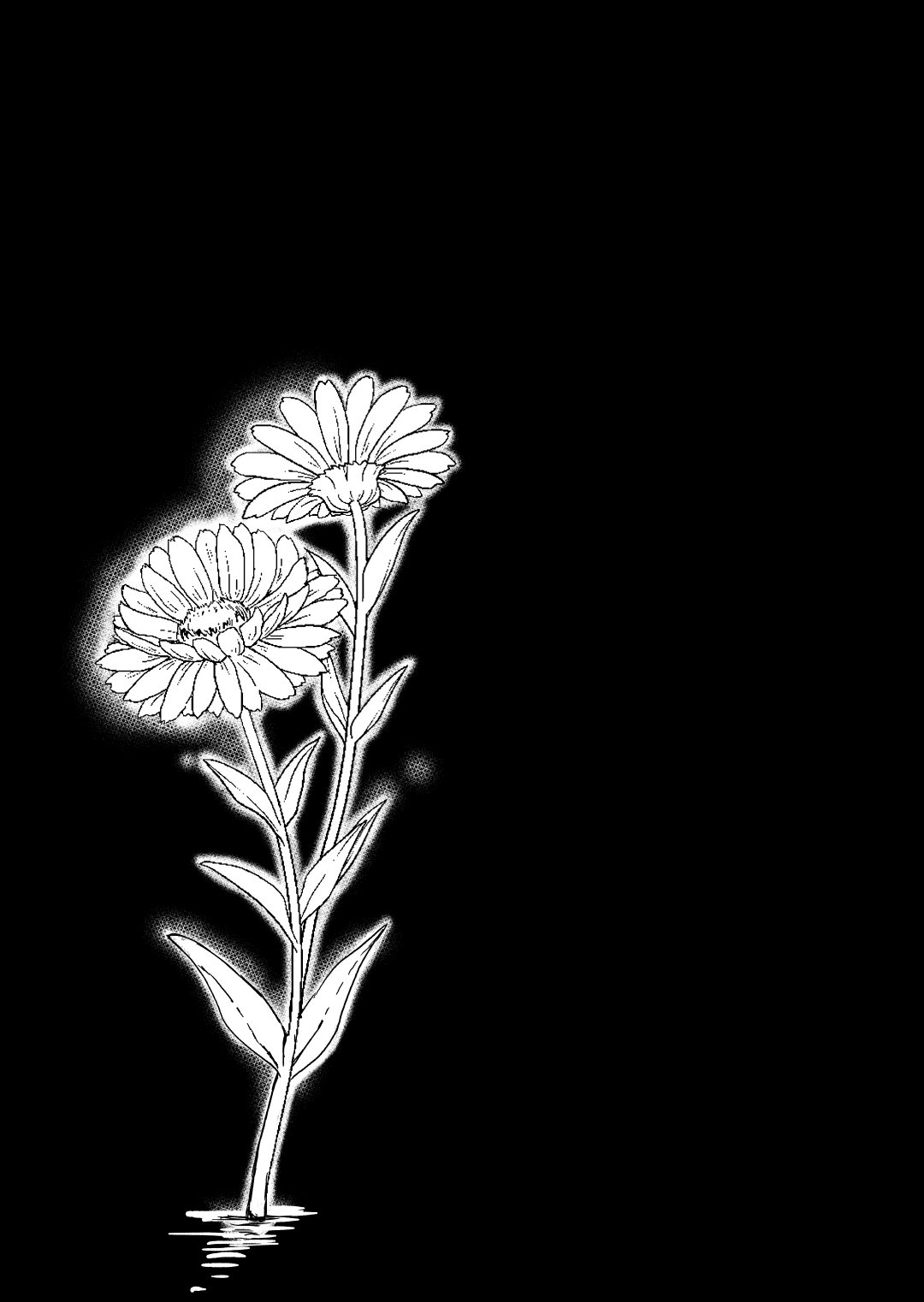 003