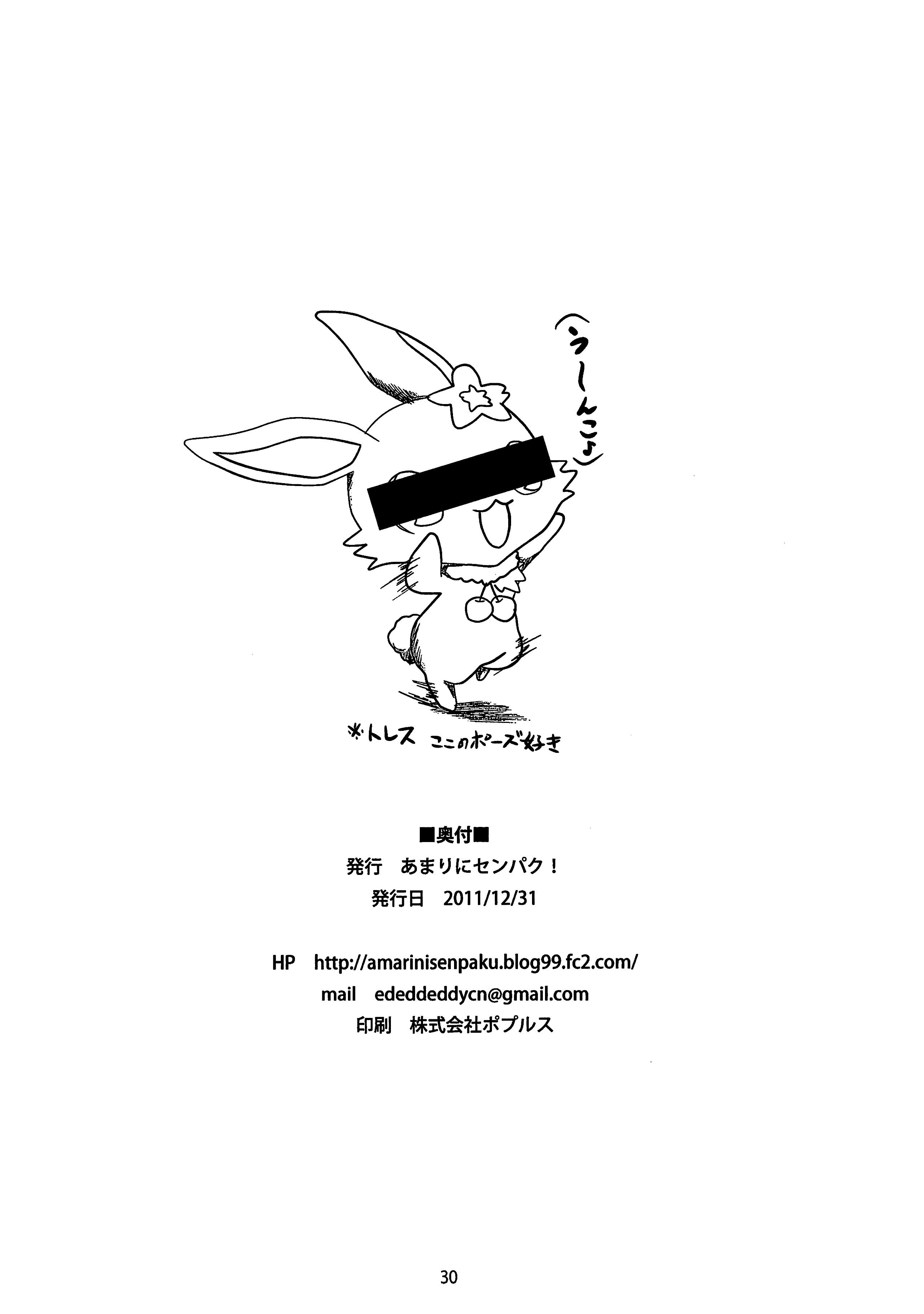 20120315011029_29
