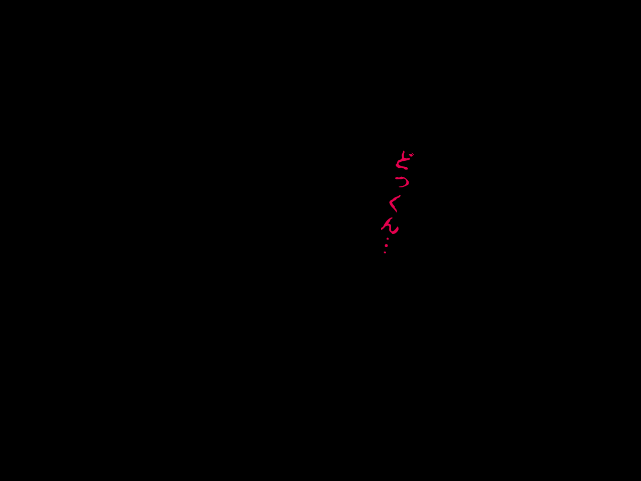 003