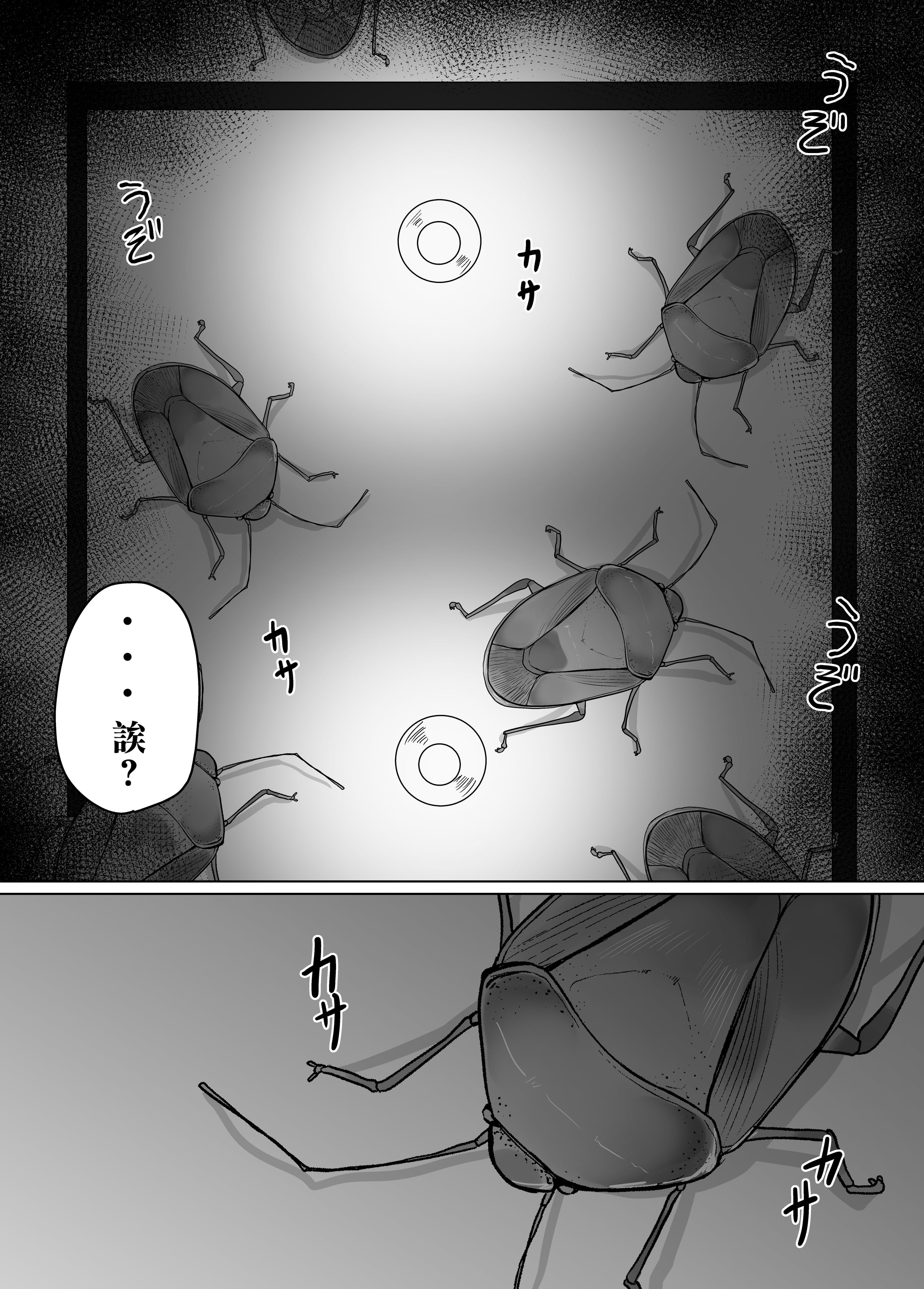 06
