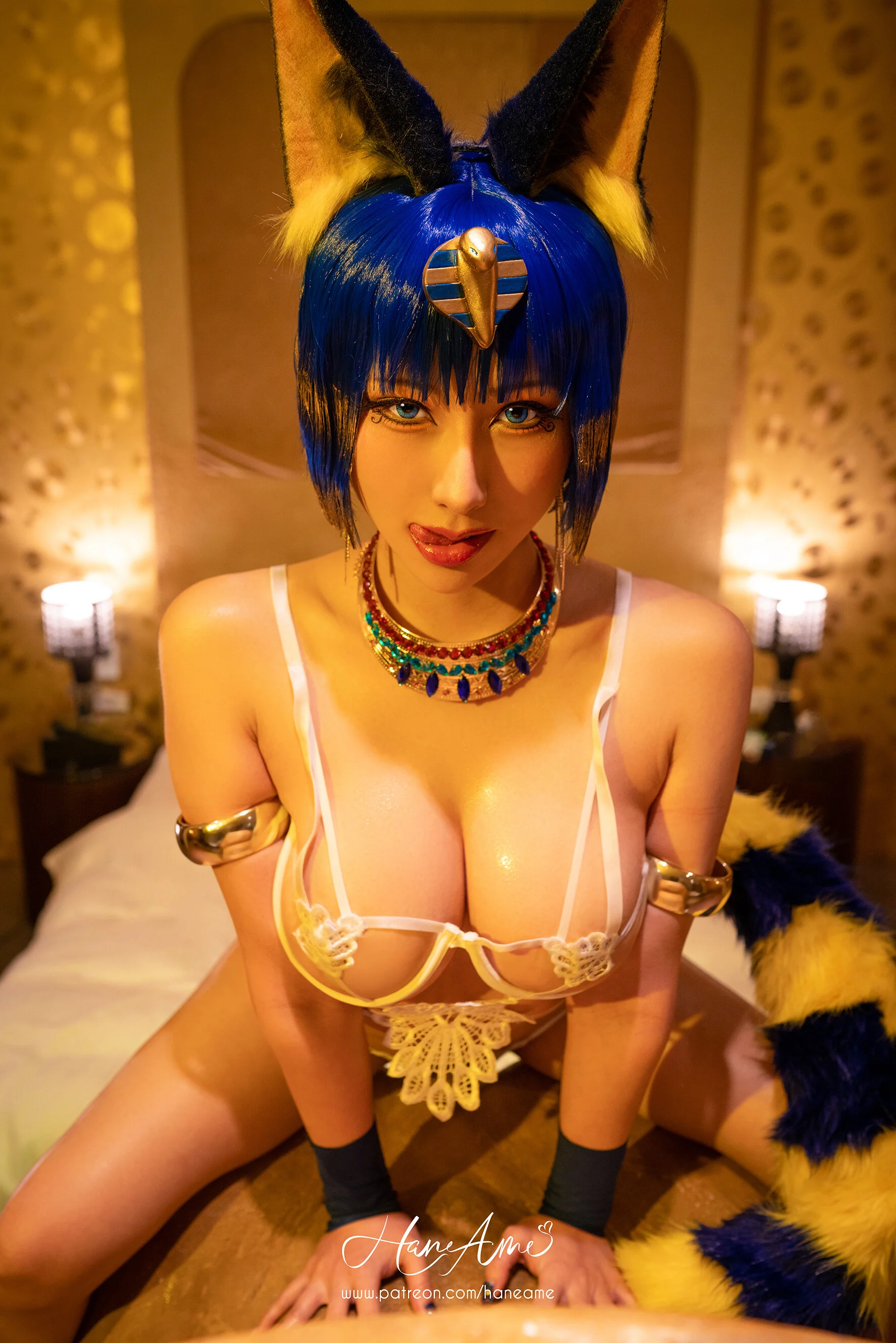 17_HaneAme_Ankha_17
