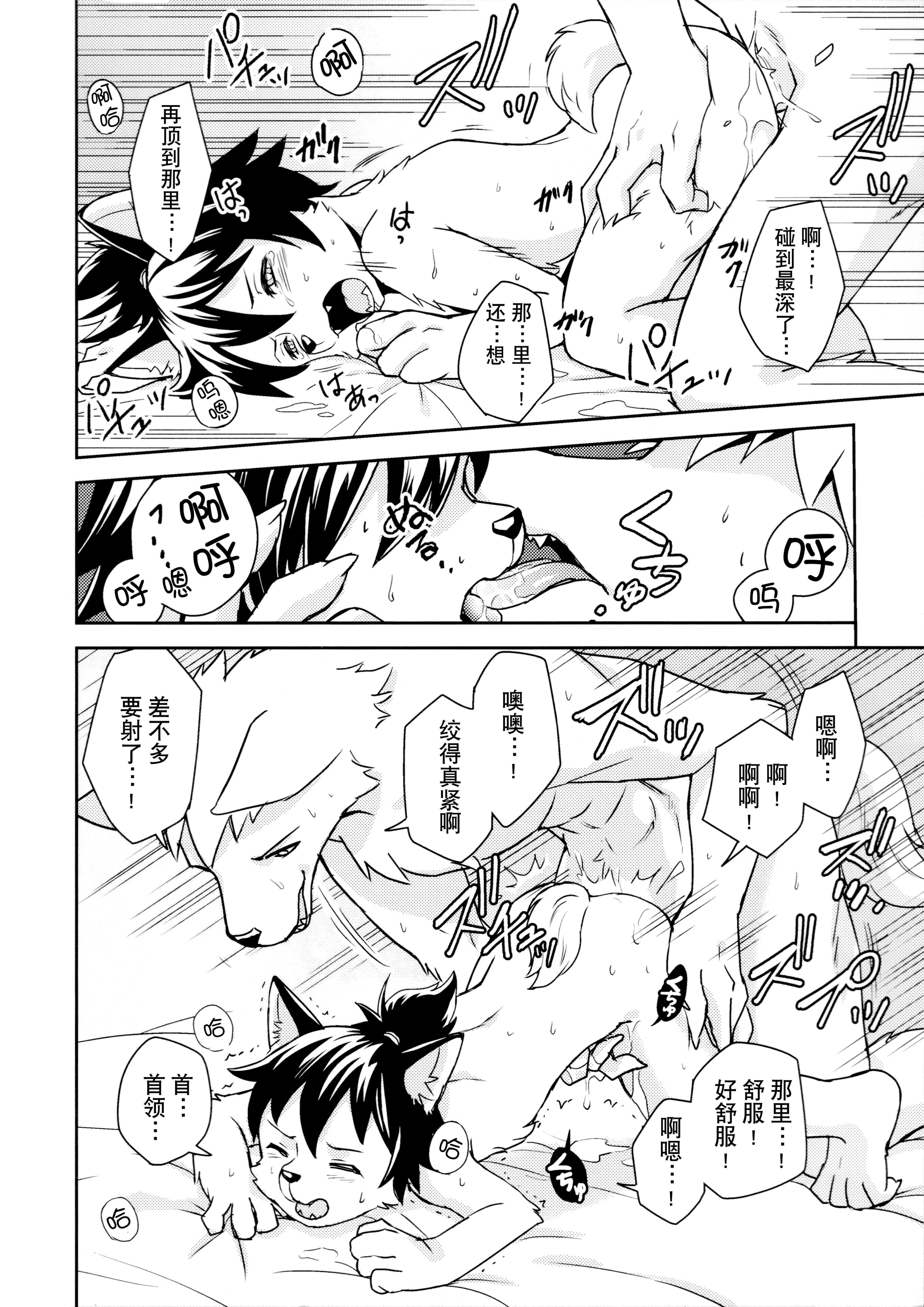 26