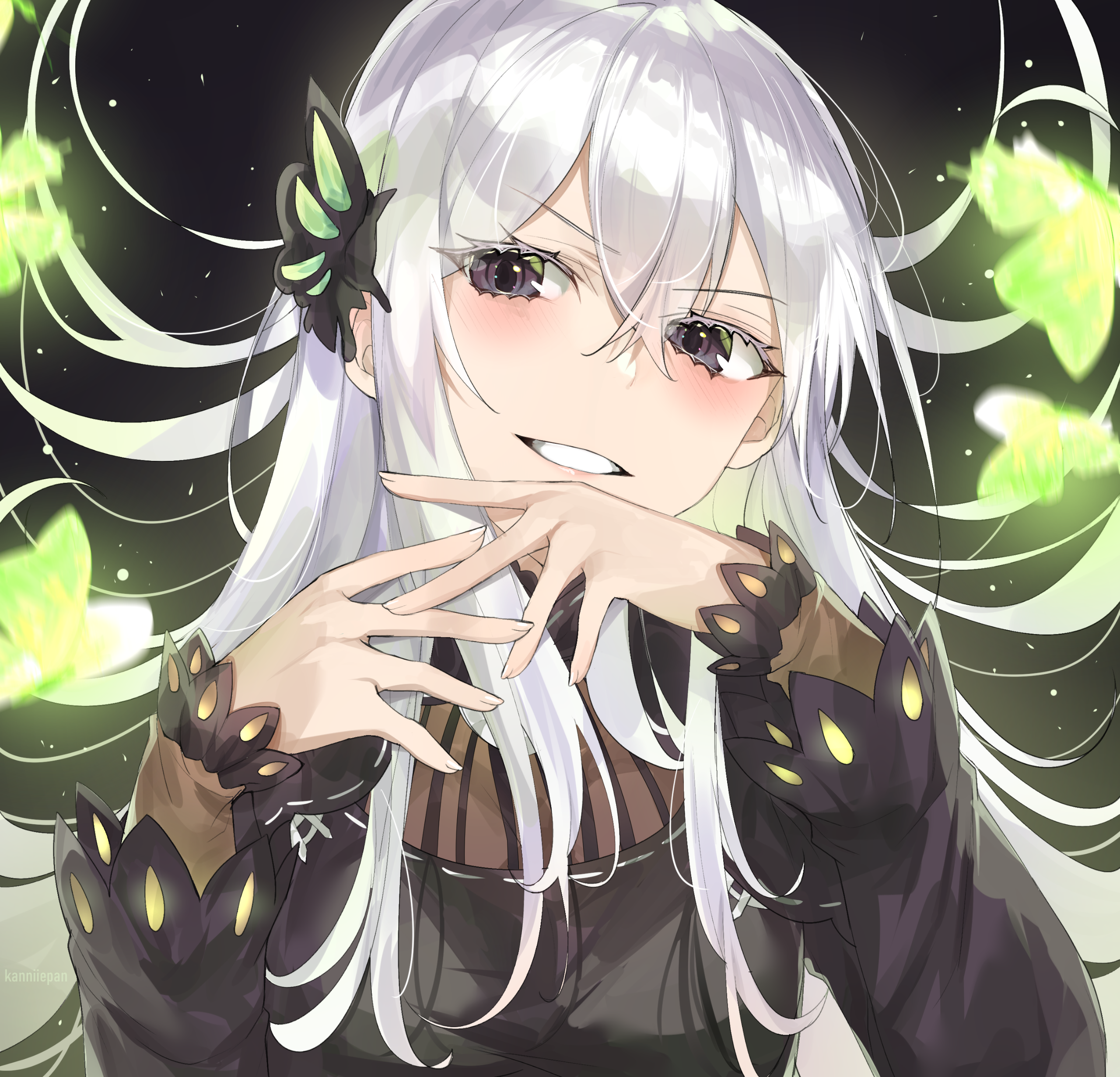83320775_p0 Echidna