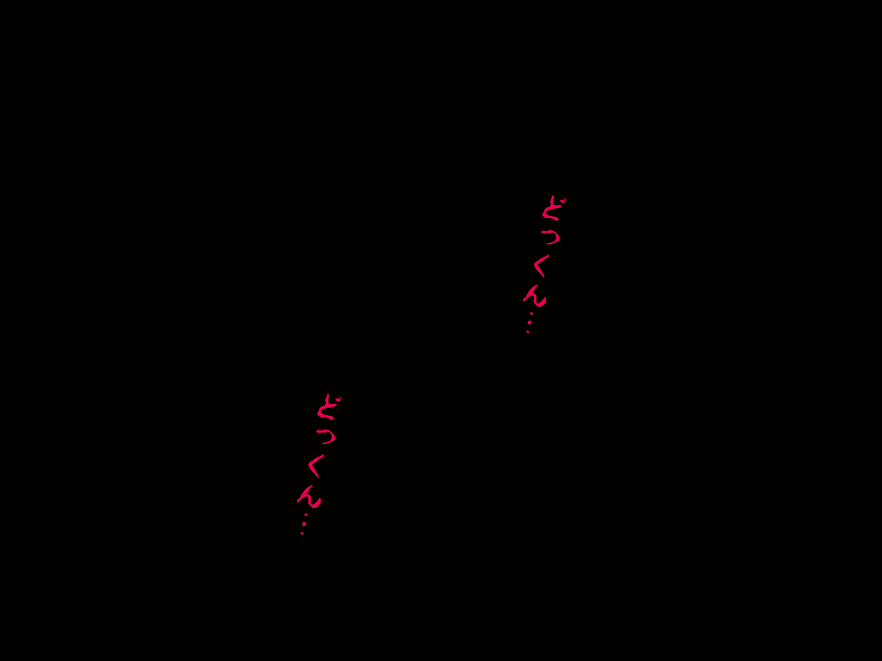 0051_0050