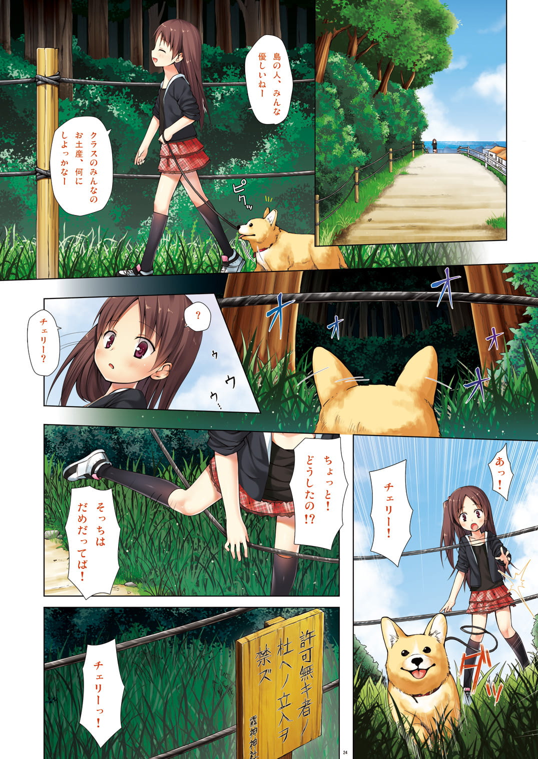 03__2_SF_004