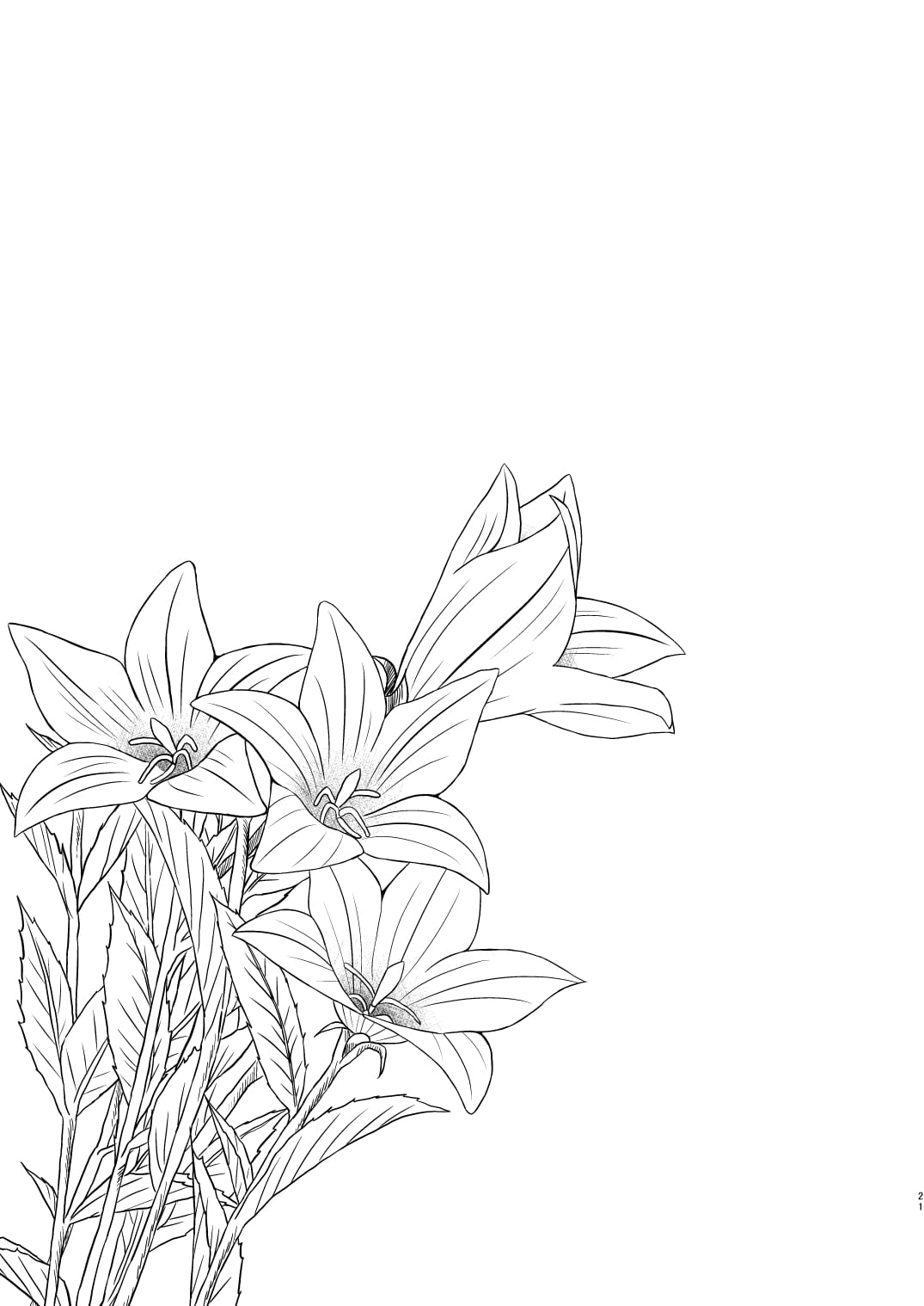 20_NvijENTY_021