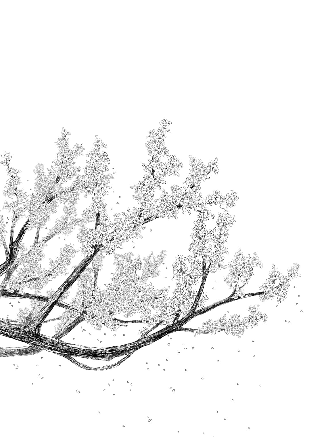 20_NvijfantiaTp_021