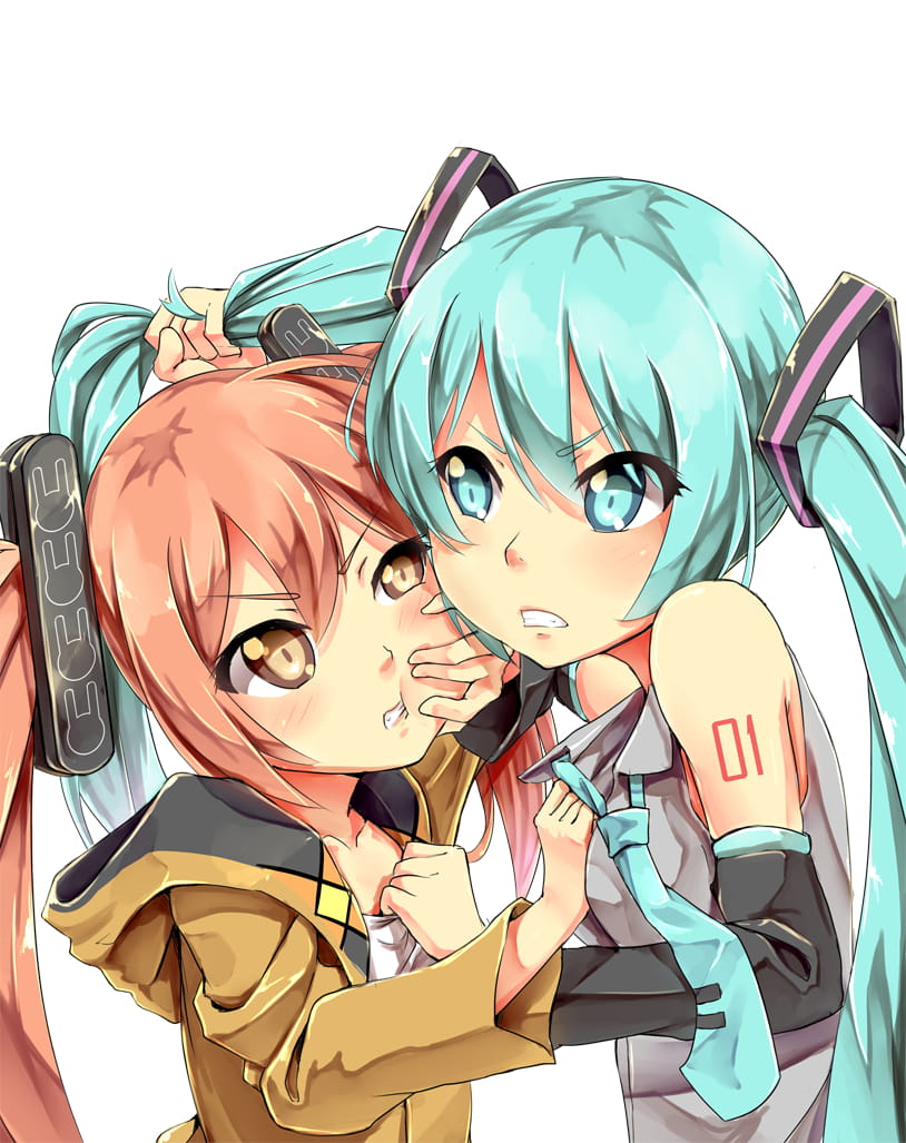 308_45453924_p0_twintail_fight