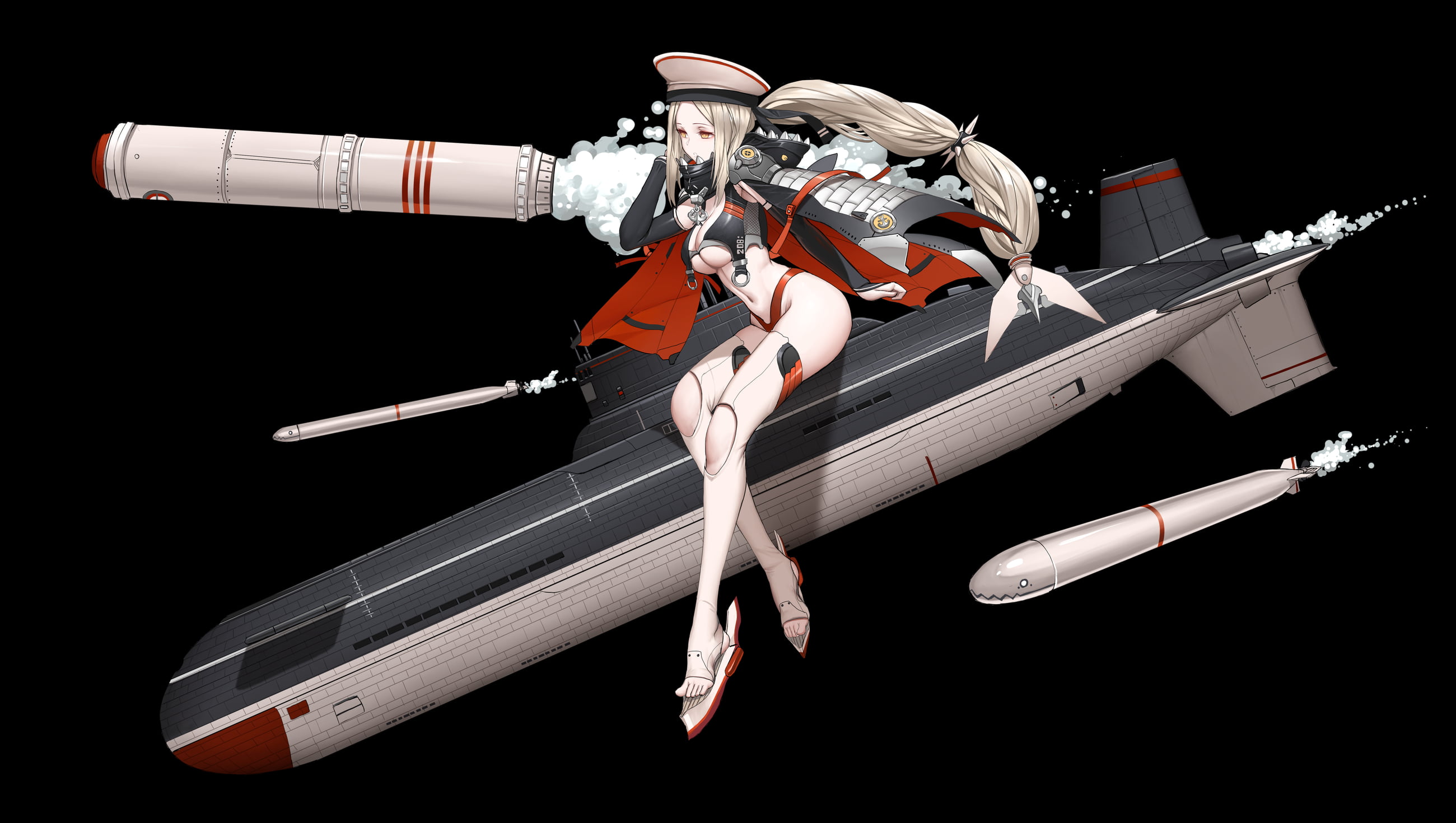 481_akula3