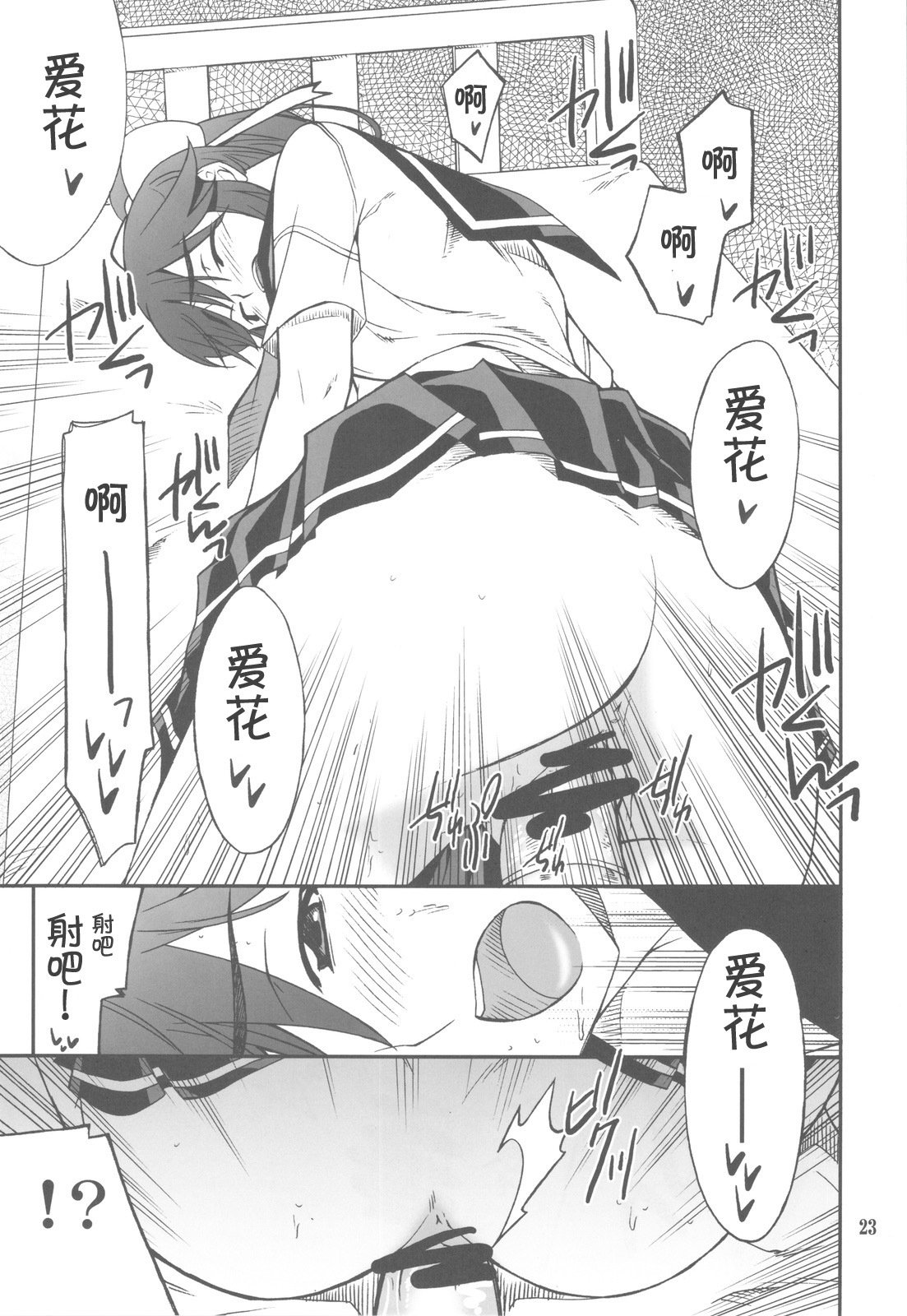 23