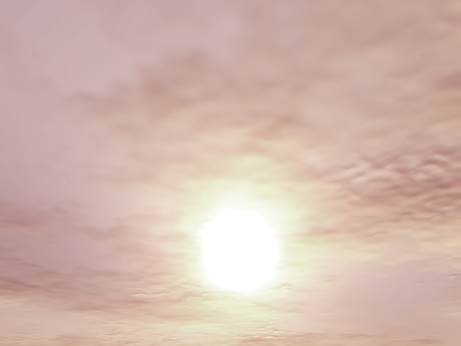 231_no_text_4
