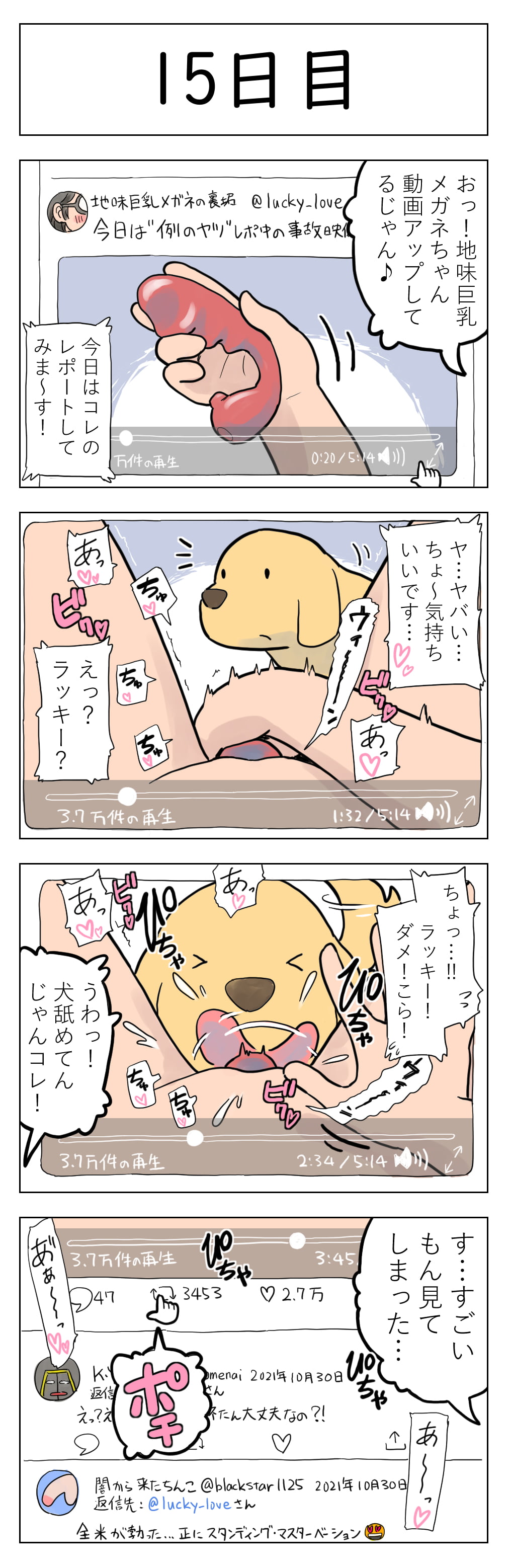017_2814171_p0_T3ocTBDzqjAp6YjItgrdpyby_15