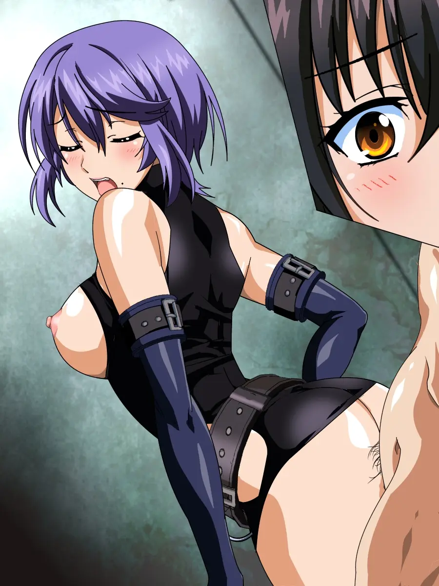 263_STBVIIIai0022