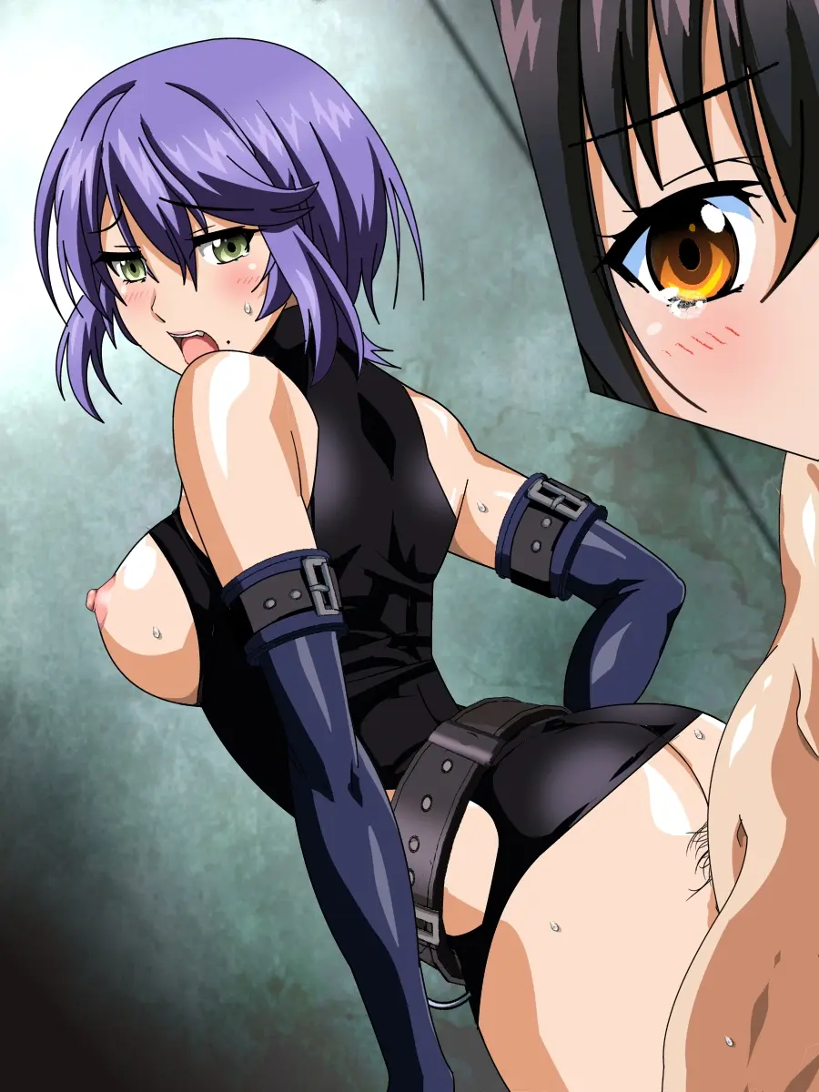 265_STBVIIIai0024