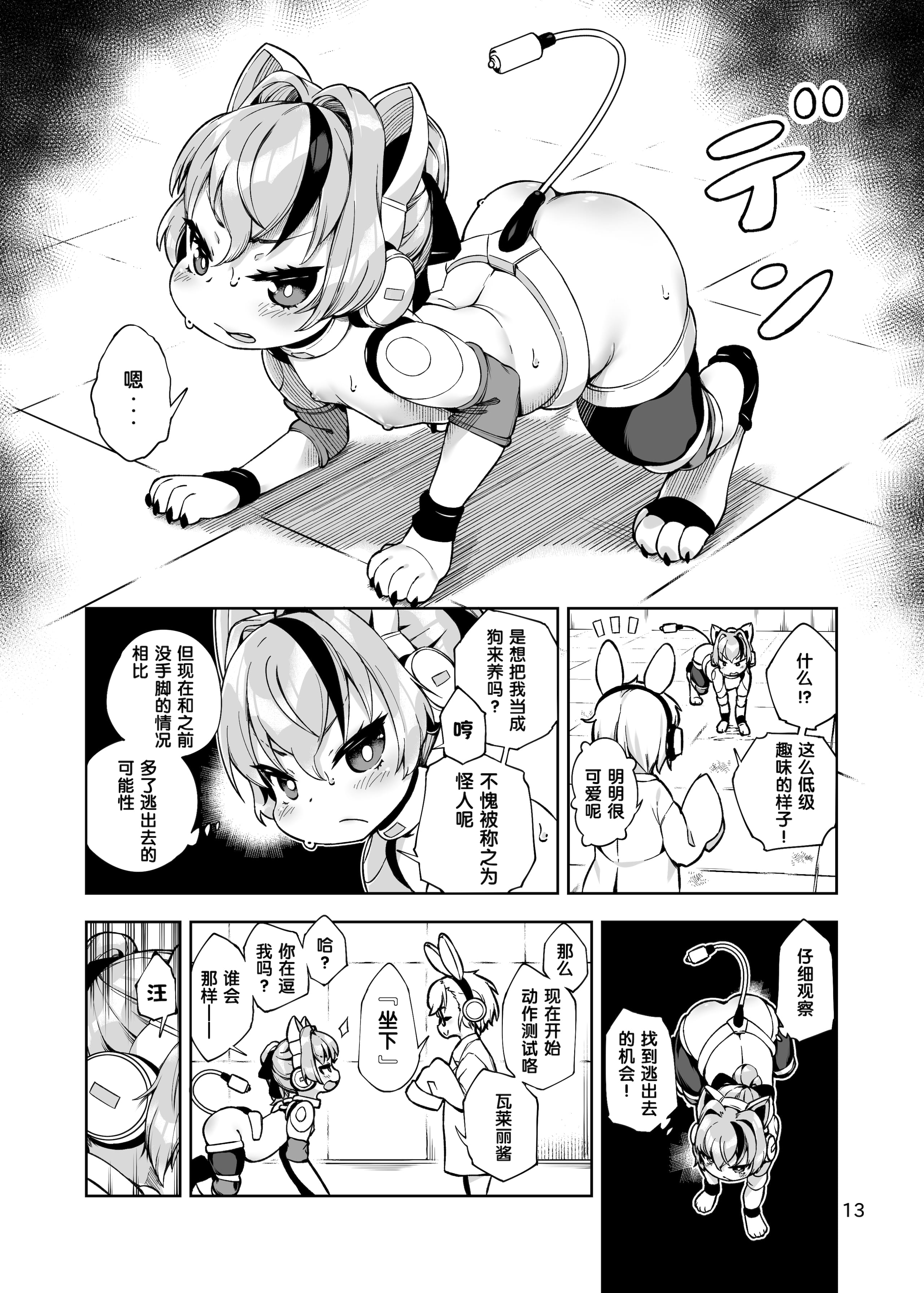 13