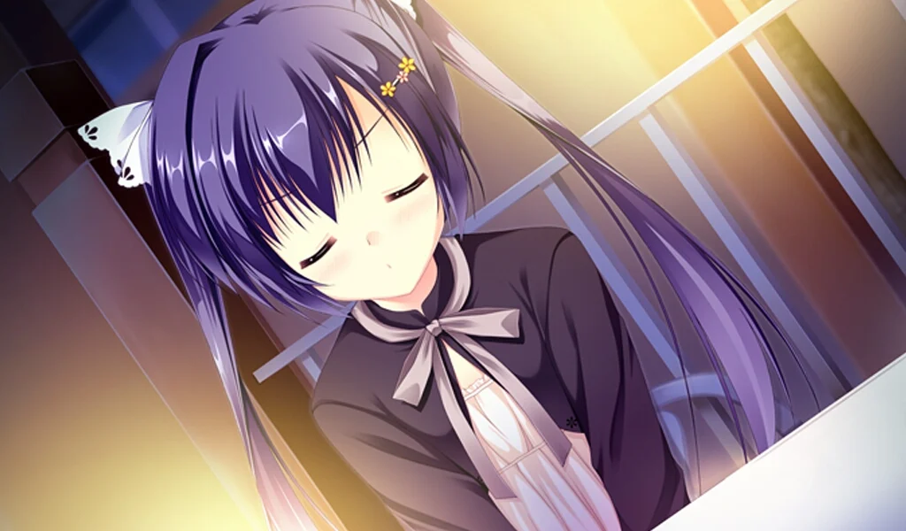 ev_31_sra09zzz