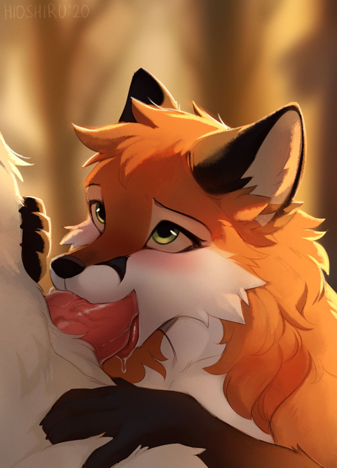 24_lefoxo_