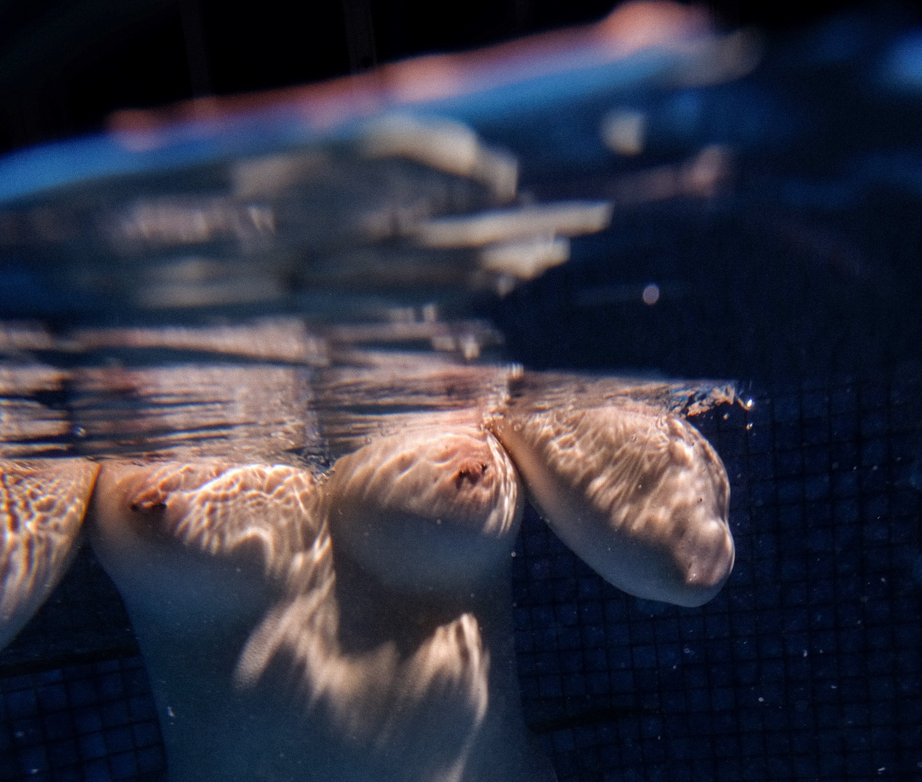 stefania-nightswimming-32-vHSy7BXW