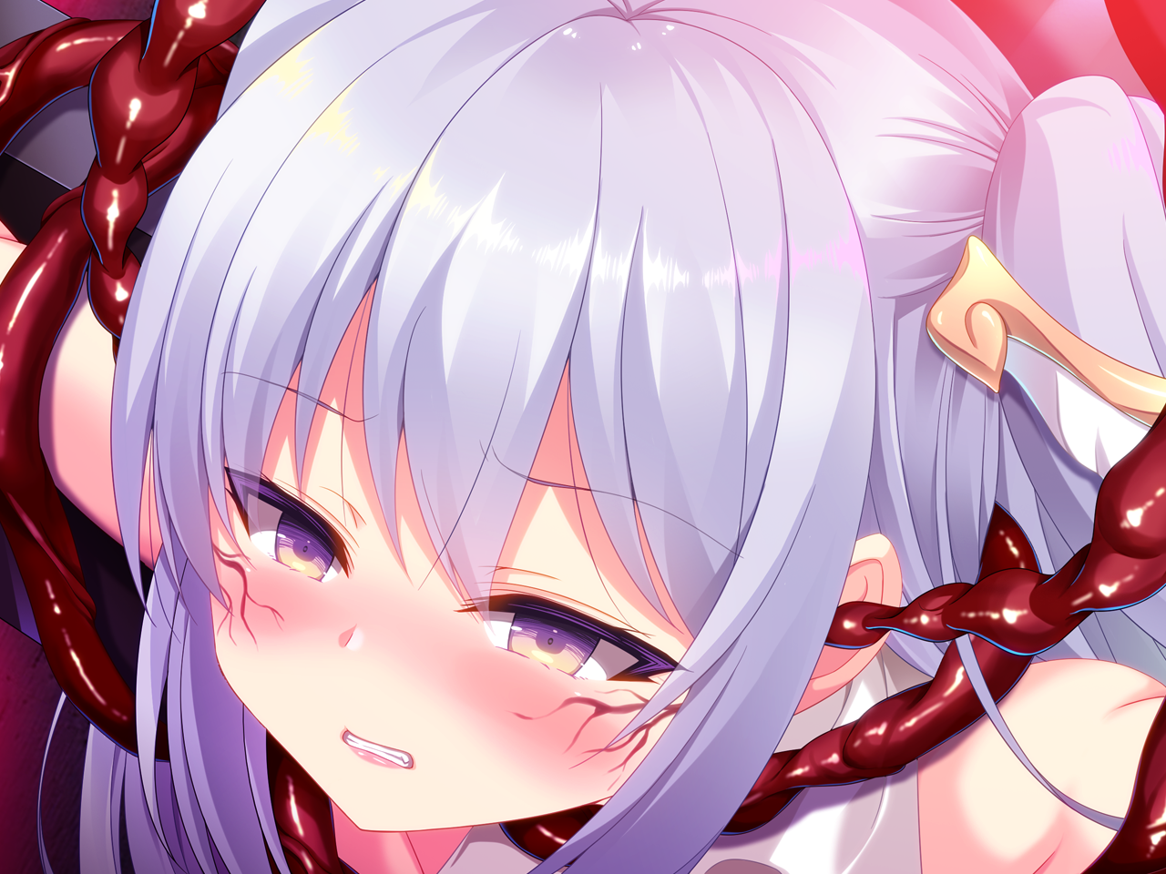 CG404D