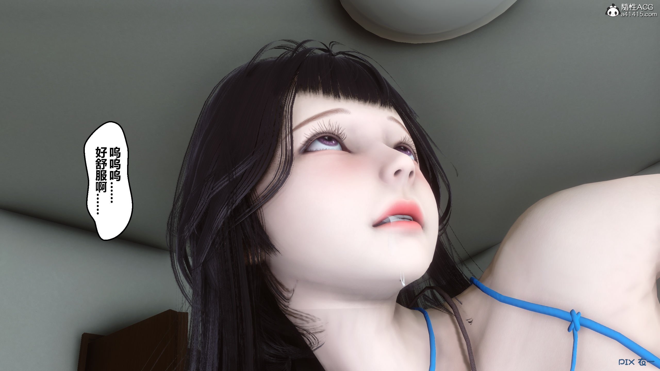 00446