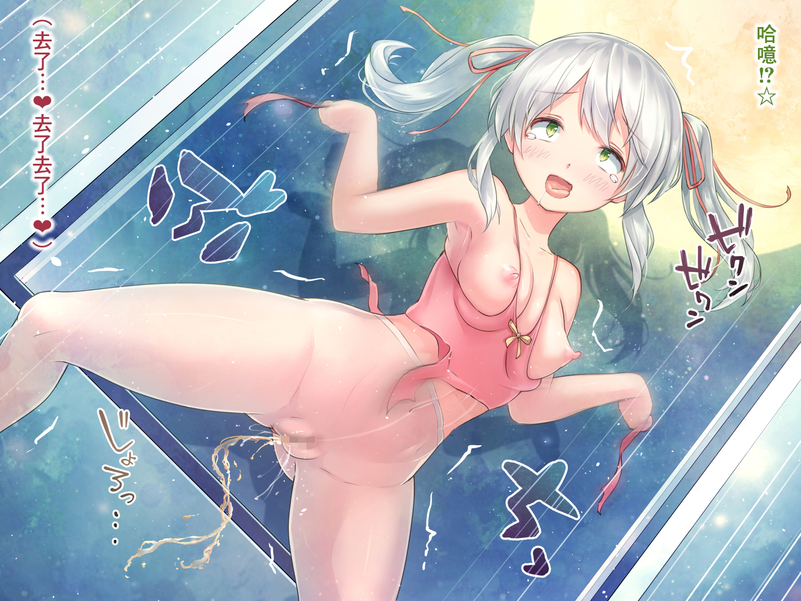 SGTG_306_088