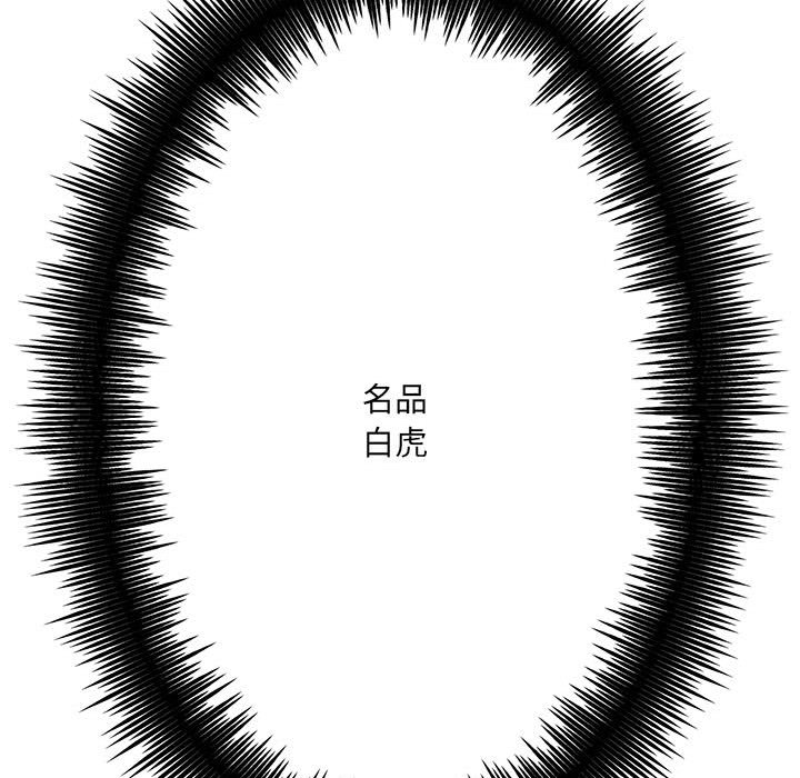 03_254