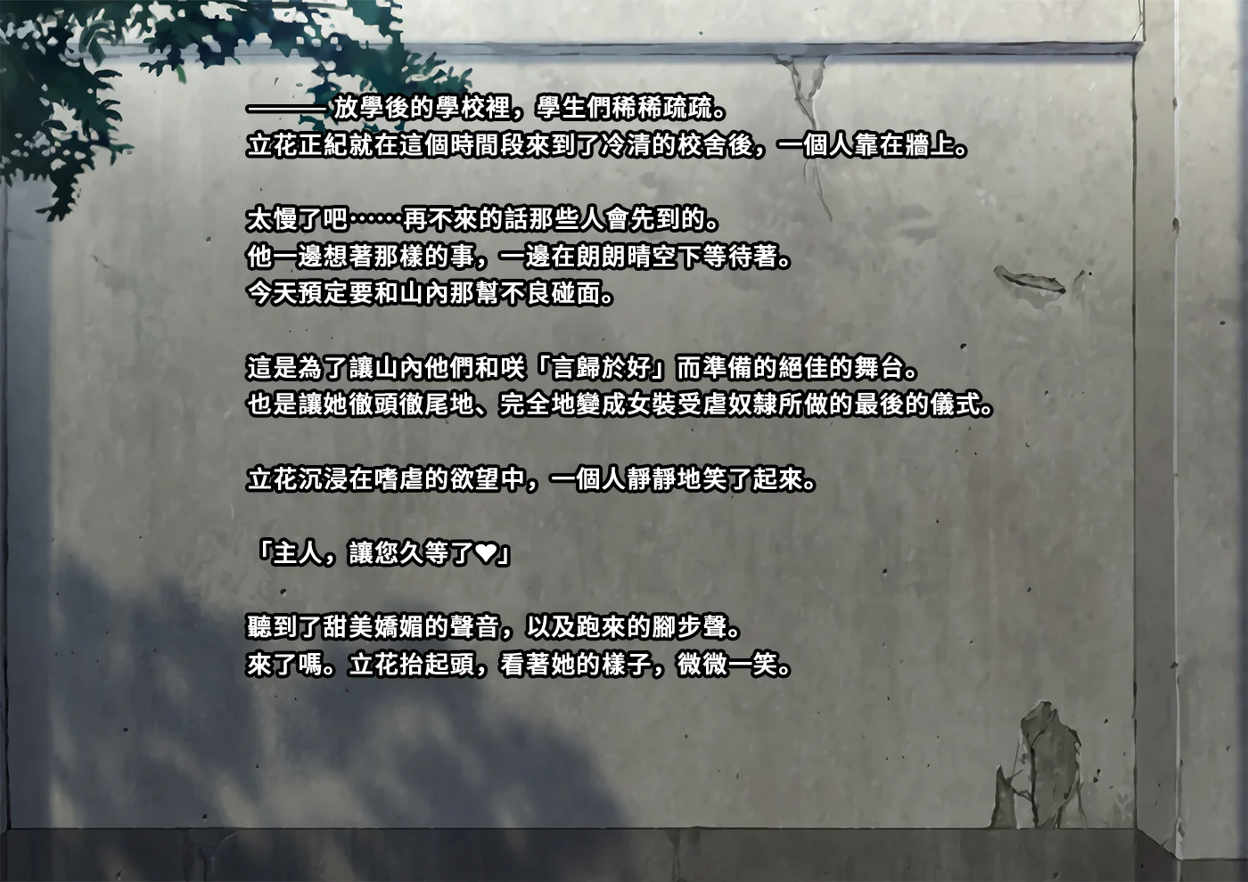 furyou201
