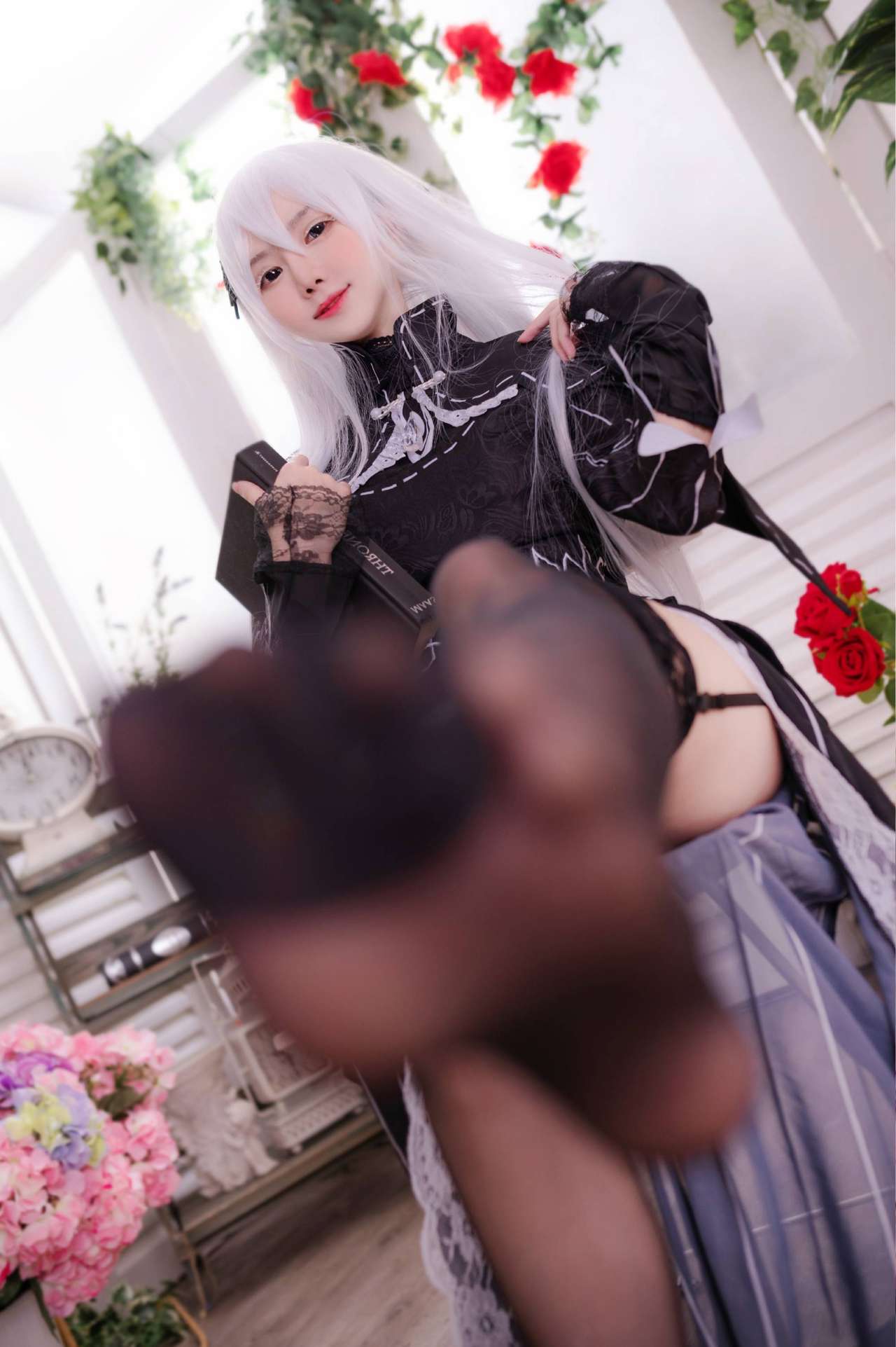 Sally_Dorasnow_Echidna_20