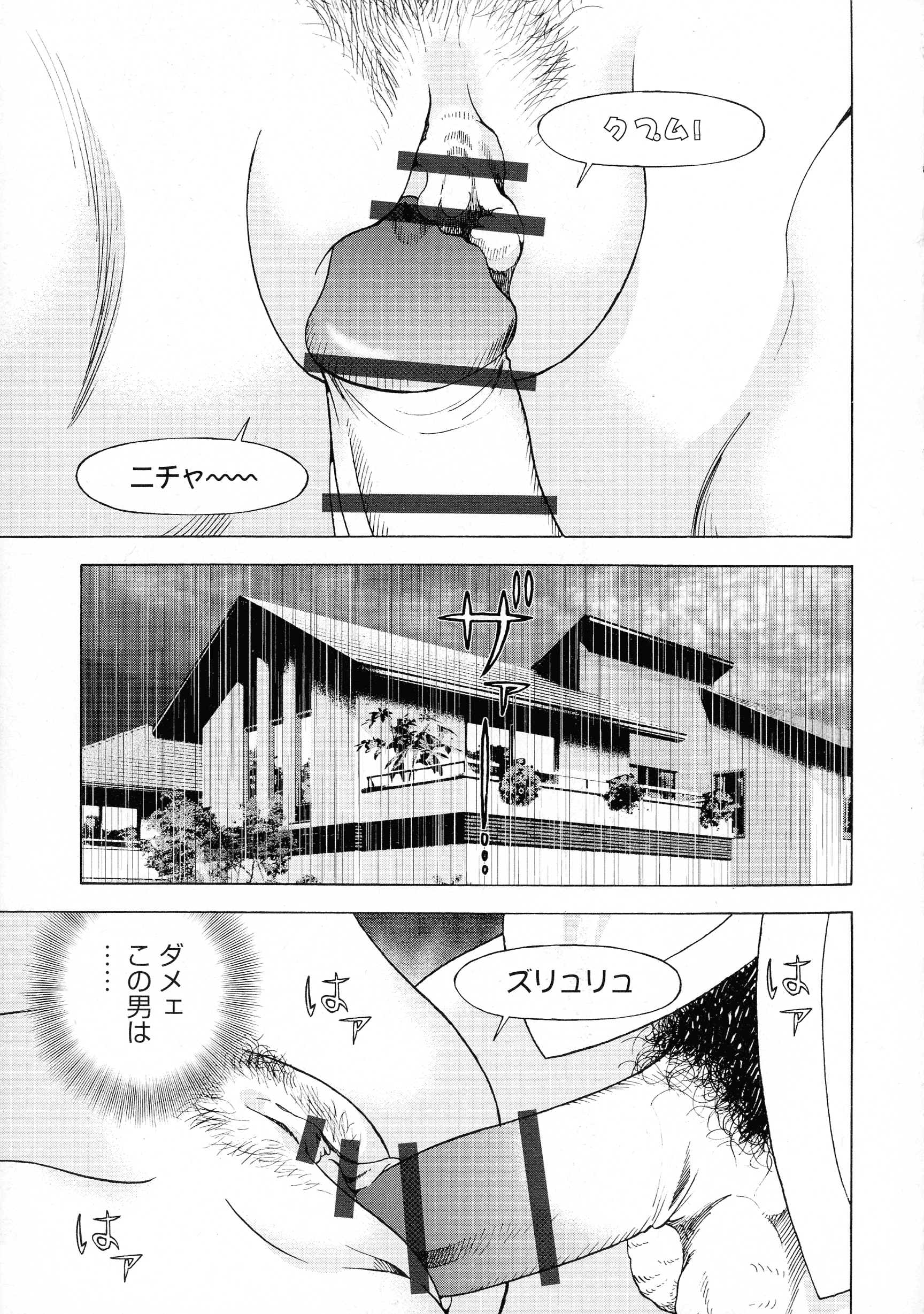 pg_147_1.06_MB