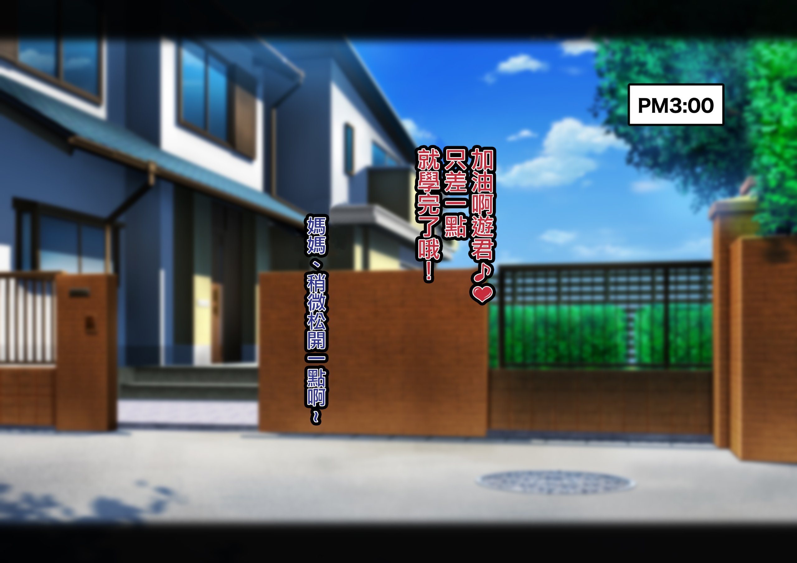 013_bk.8_